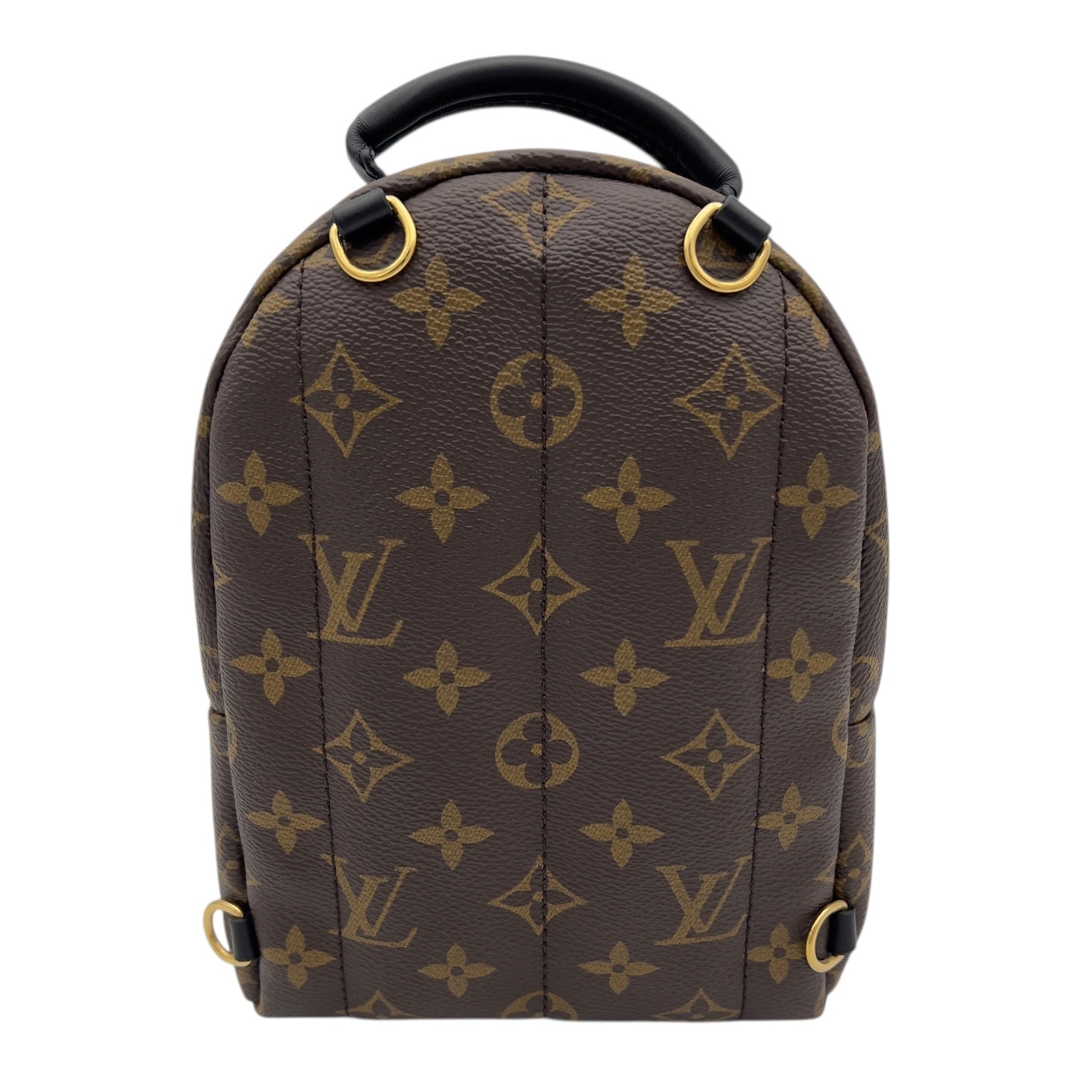 Louis Vuitton Palm Springs Mini Brown Backpack in Monogram Coated Canvas, Gold hardware_2