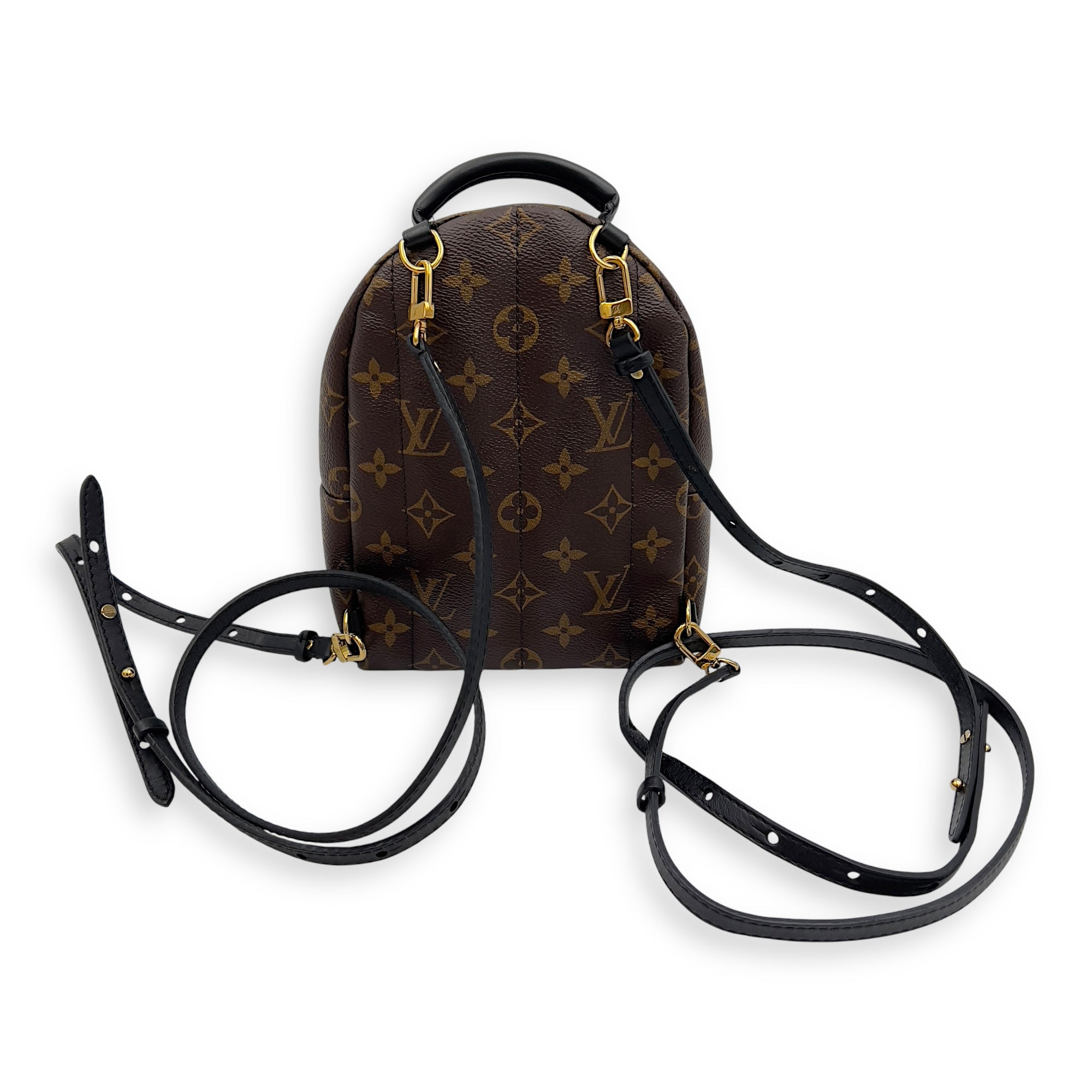 Louis Vuitton Palm Springs Mini Brown Backpack in Monogram Coated Canvas, Gold hardware_2