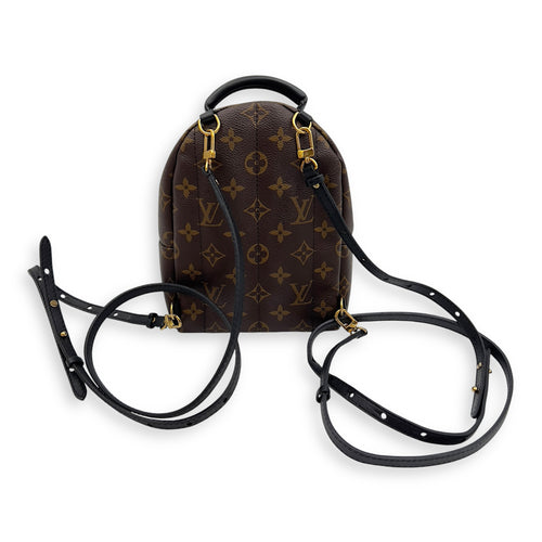 Louis Vuitton Palm Springs Mini Brown Backpack in Monogram Coated Canvas, Gold hardware_2