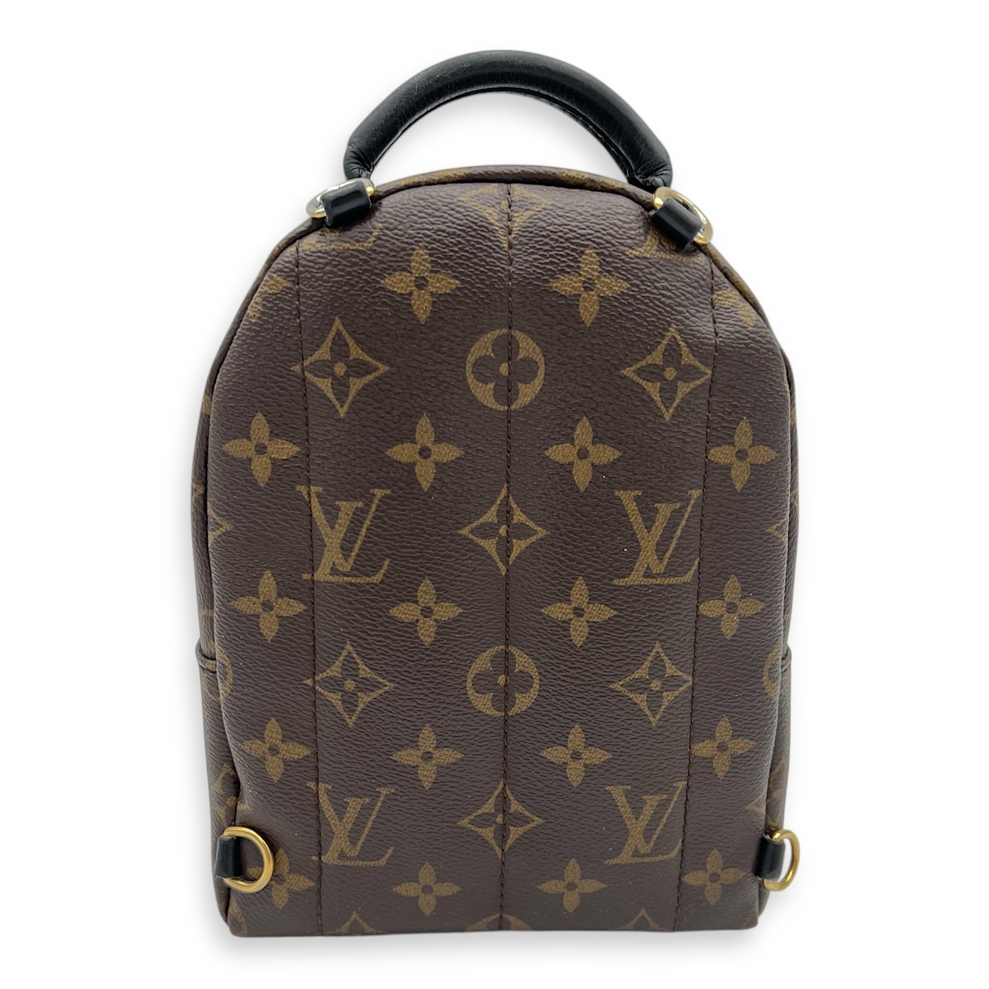 Louis Vuitton Palm Springs Backpack Mini Brown in Monogram Coated Canvas, Gold hardware_12