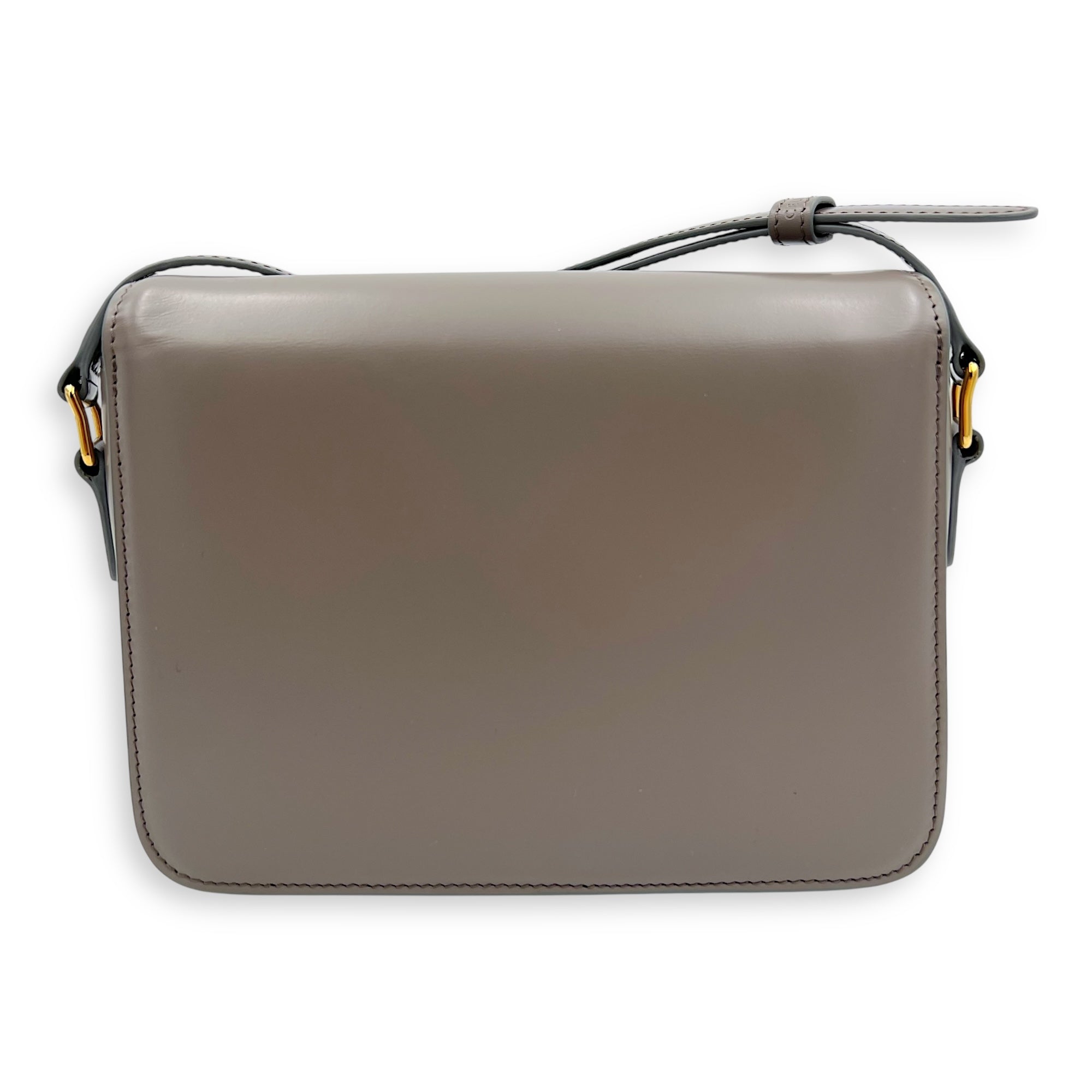 Celine Triomphe Crossbody Bag teen Grey in Calfskin, Gold hardware_2