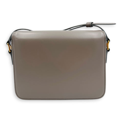 Celine Triomphe Crossbody Bag teen Grey in Calfskin, Gold hardware_2