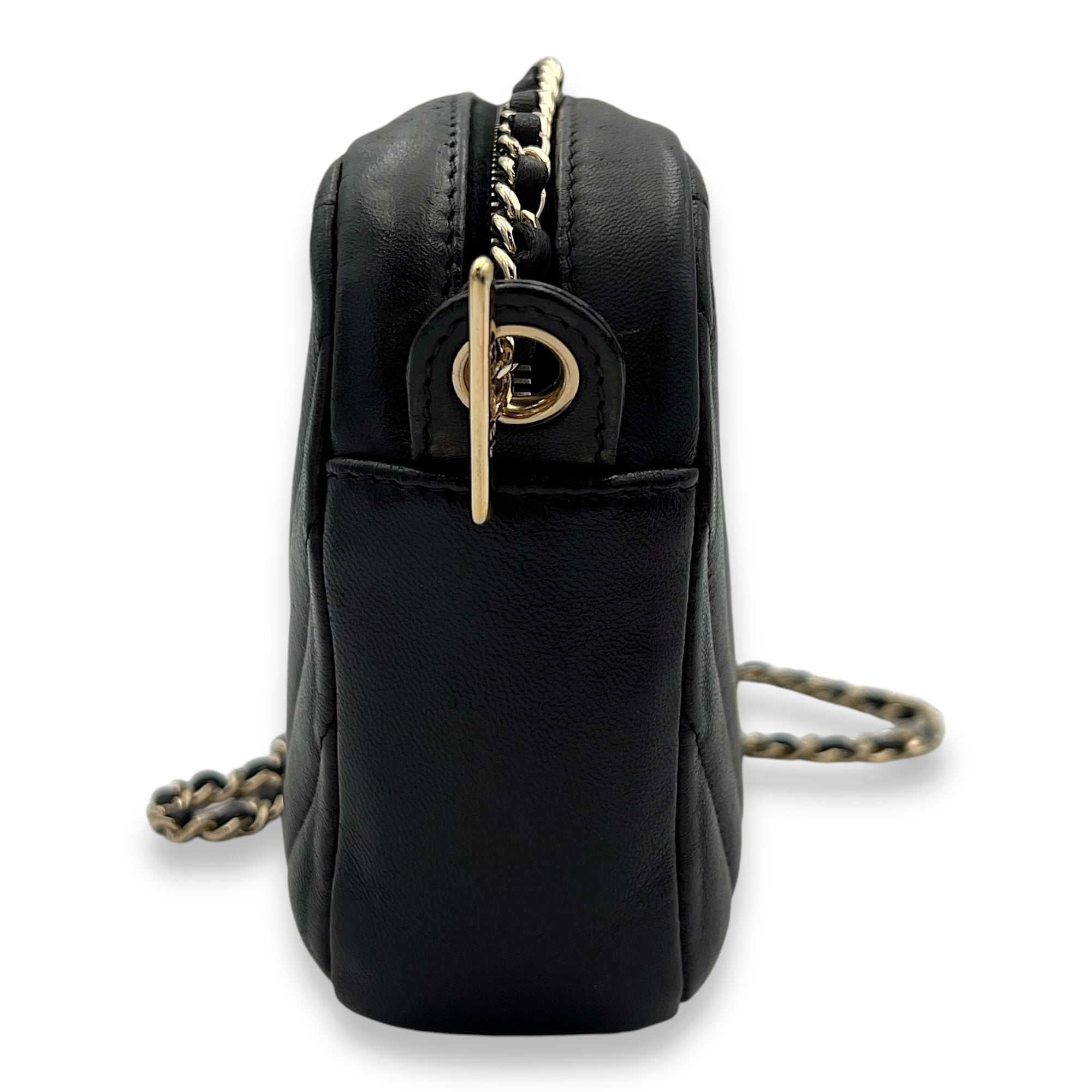 Camera Crossbody Bag Black in Calfskin, Gold hardware