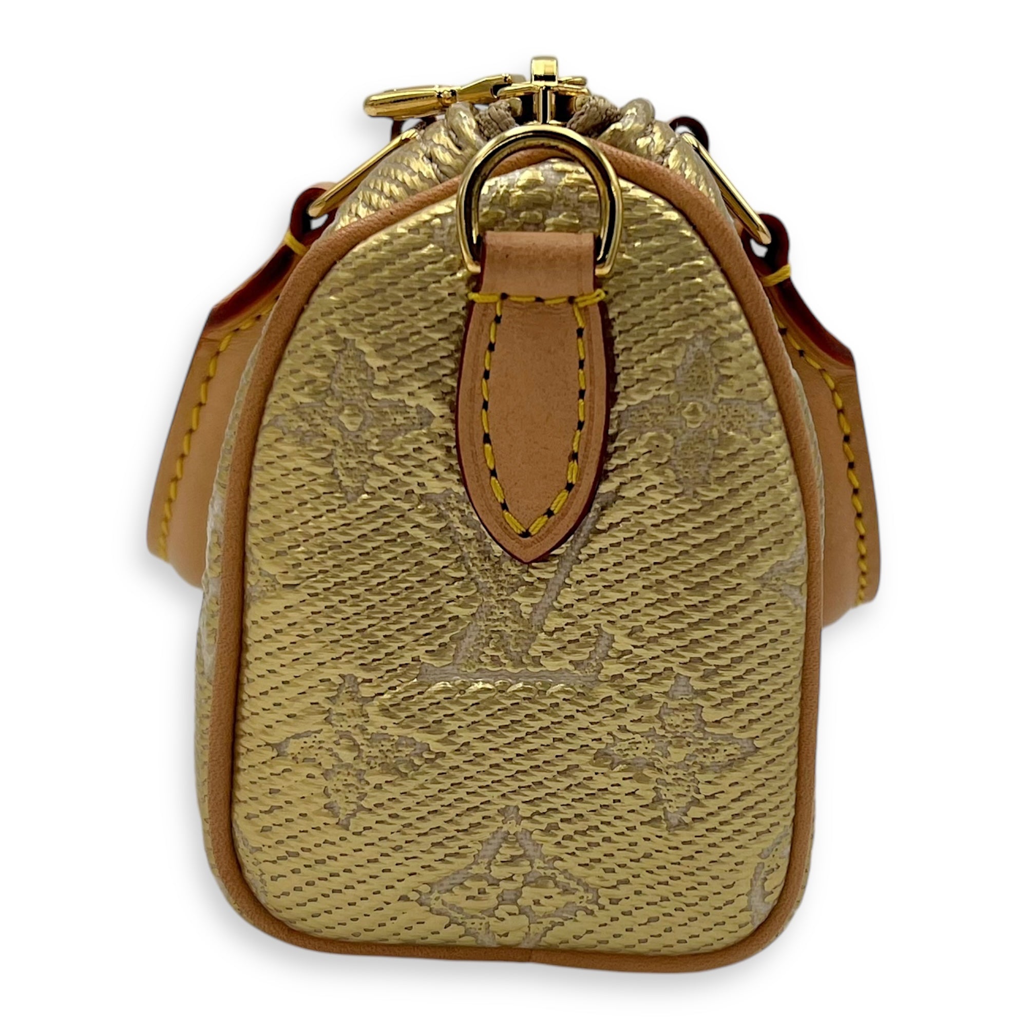 Louis Vuitton Speedy Nano Gold Top Handle Bag in Coated Canvas, Gold hardware_3