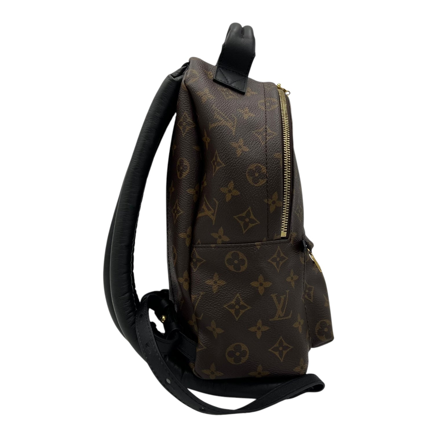 Louis Vuitton Palm Springs Backpack PM Brown in Monogram Coated Canvas, Gold hardware_3