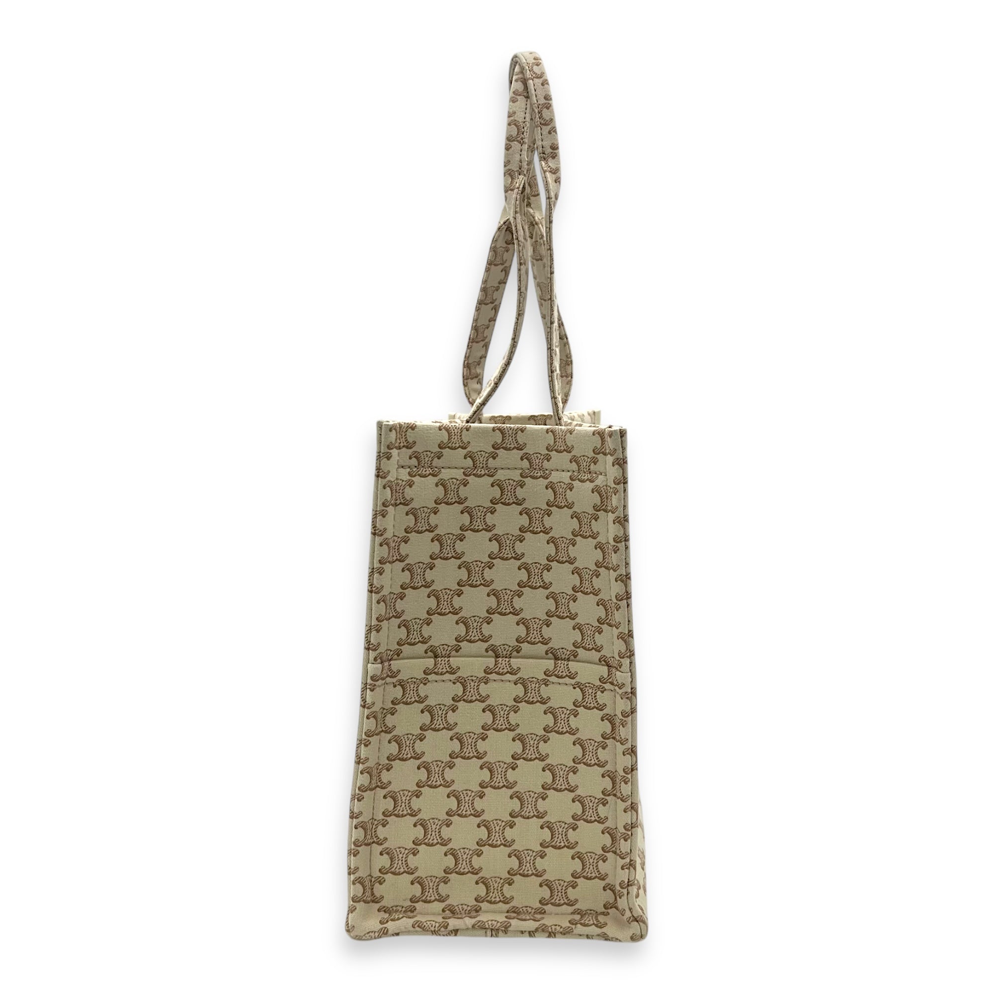 Celine Cabas Thais Tote Bag Beige in Canvas_3