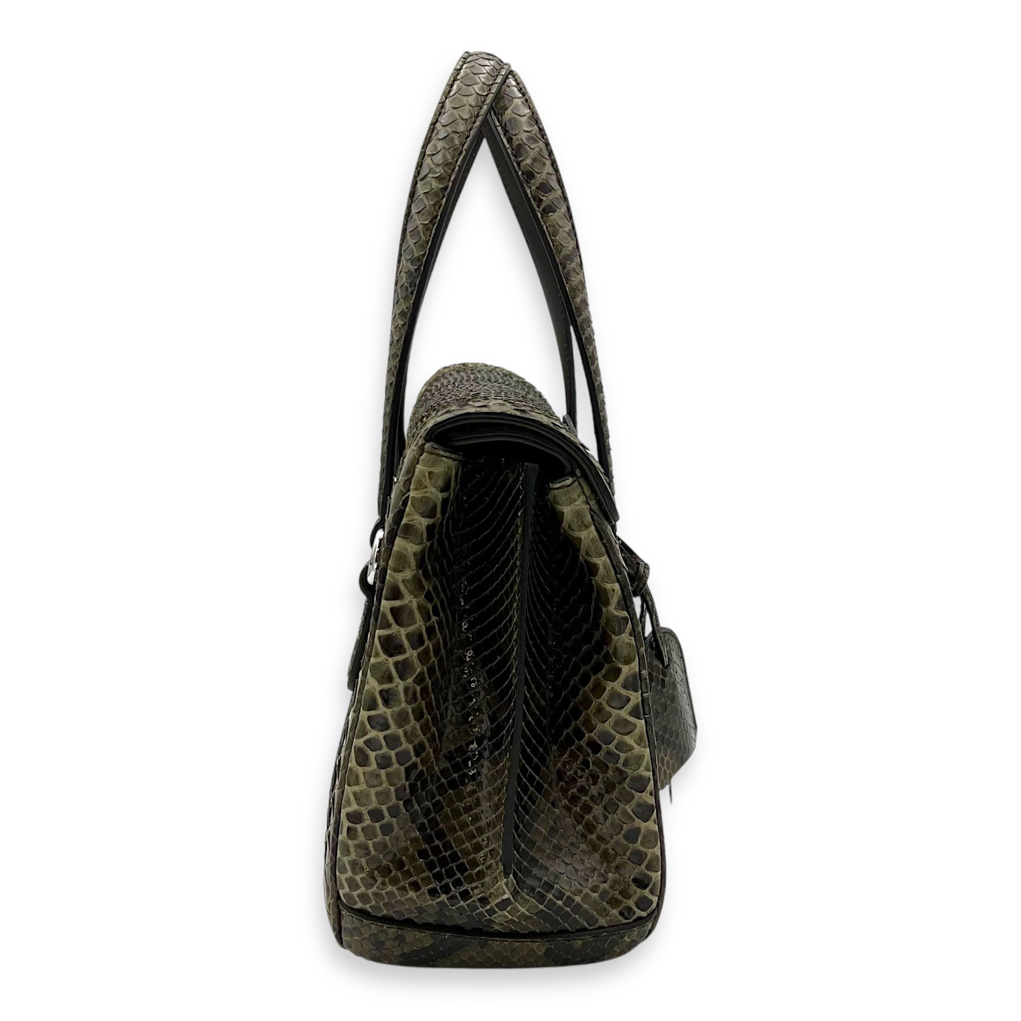 Gucci Flap Top Handle Bag Green in Python Leather, Silver hardware_3