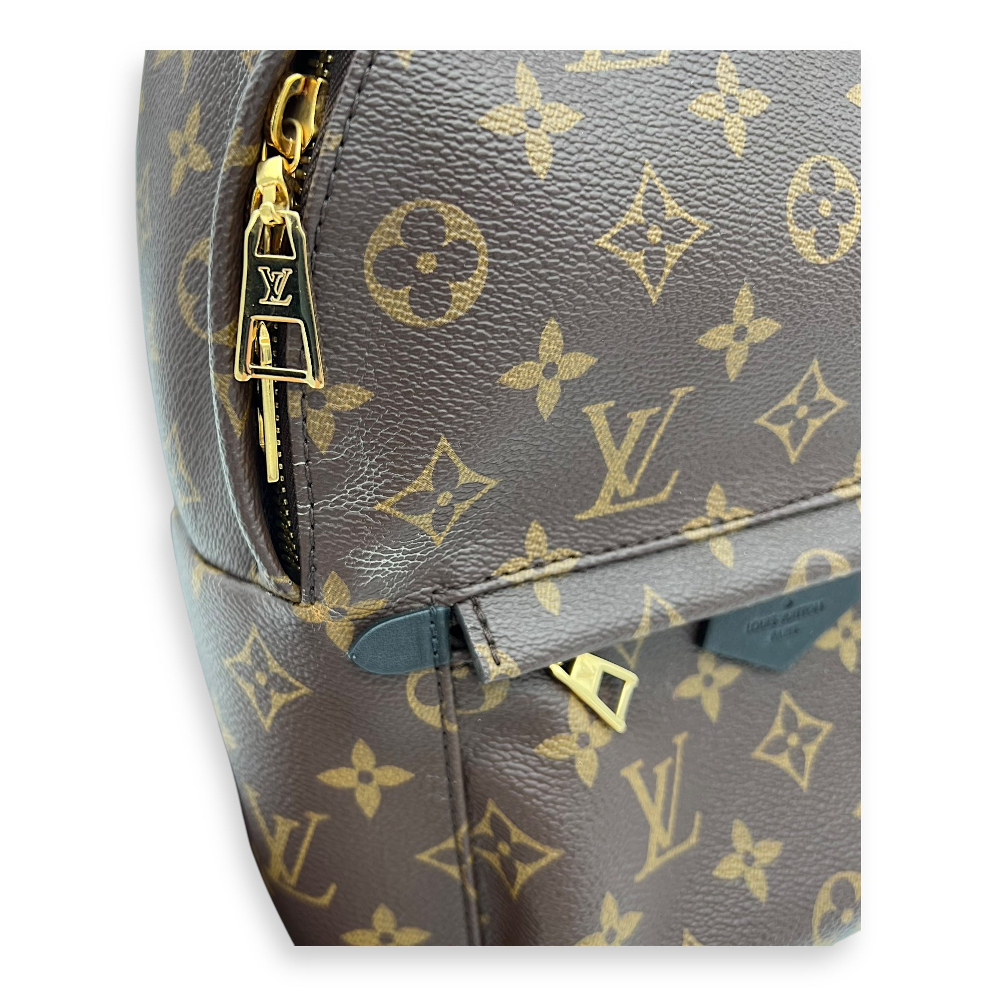 Louis Vuitton Palm Springs Backpack Brown in Monogram Coated Canvas, Gold hardware_9
