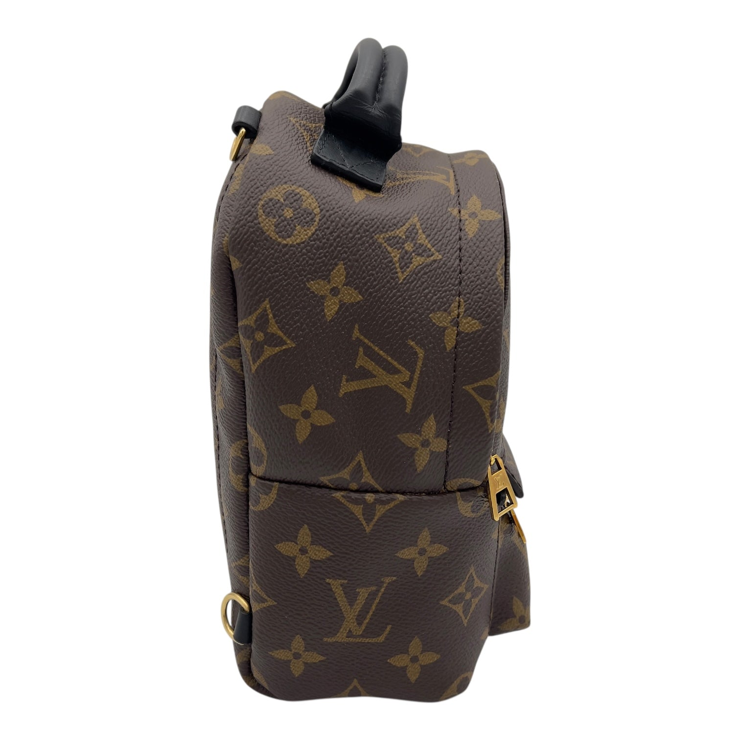 Louis Vuitton Palm Springs Mini Brown Backpack in Monogram Coated Canvas, Gold hardware_5