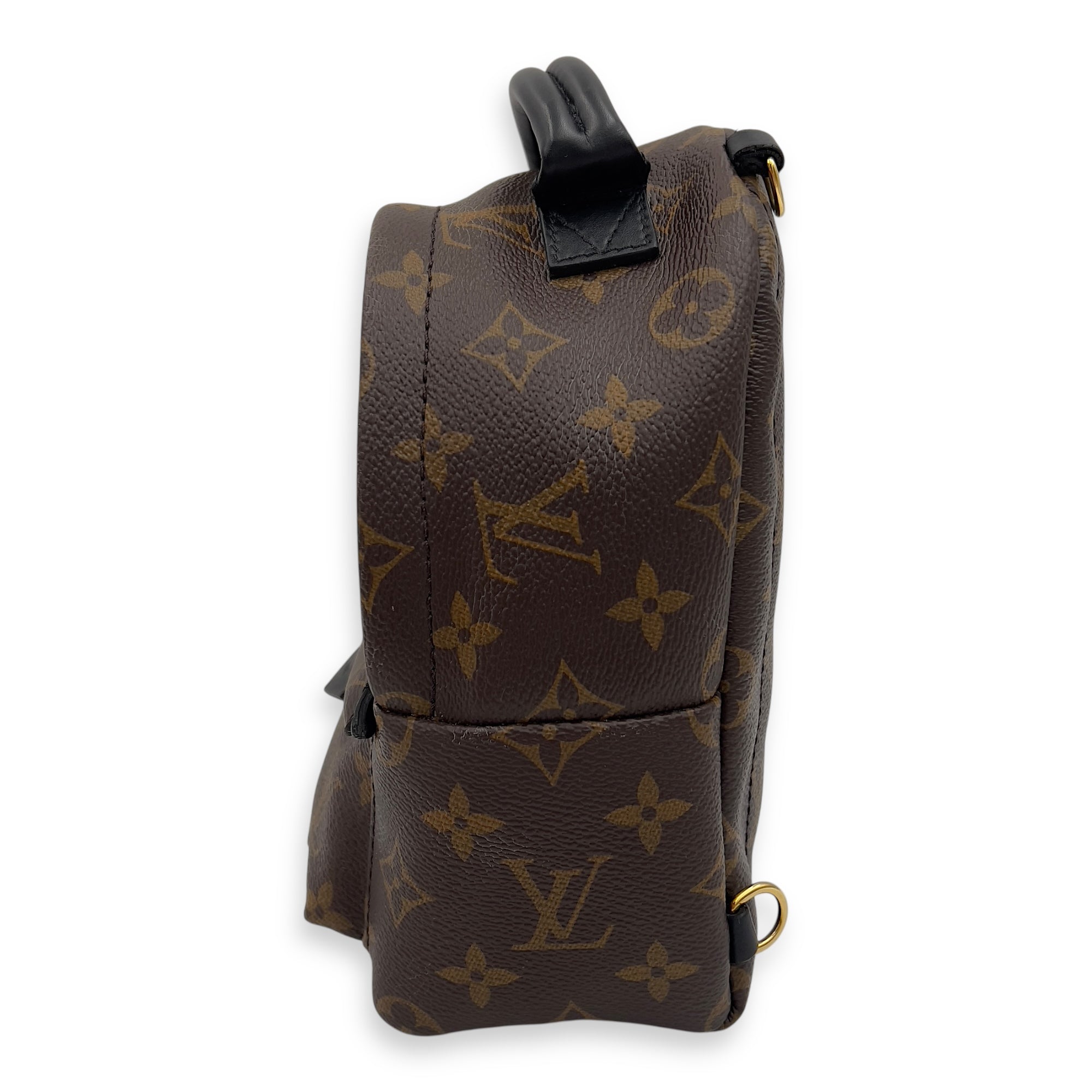 Louis Vuitton Palm Springs Mini Brown Backpack in Monogram Coated Canvas, Gold hardware_5