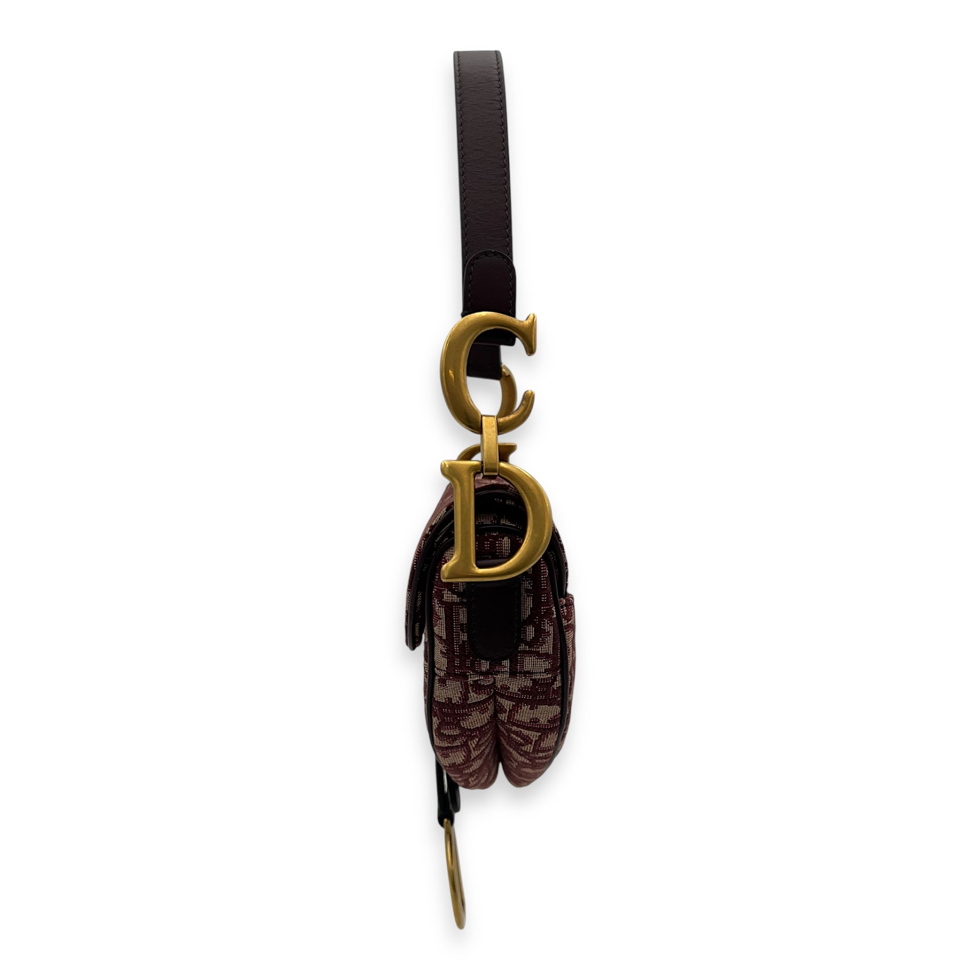 Dior Saddle Top Handle Bag Medium Gold in Canvas, Gold hardware_6