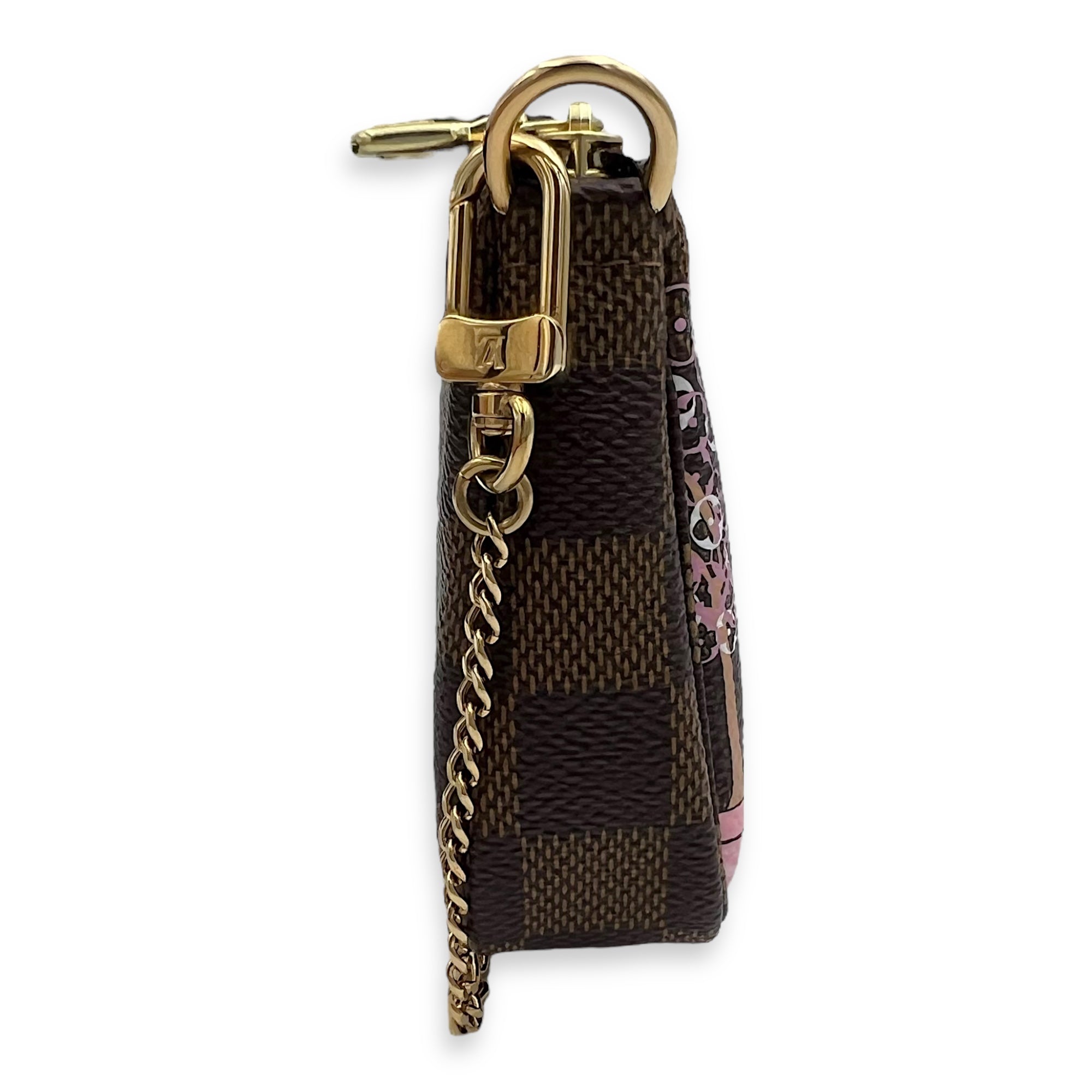 Louis Vuitton Pochette Accessoires Mini Brown Pouch in Coated Canvas, Gold hardware_3