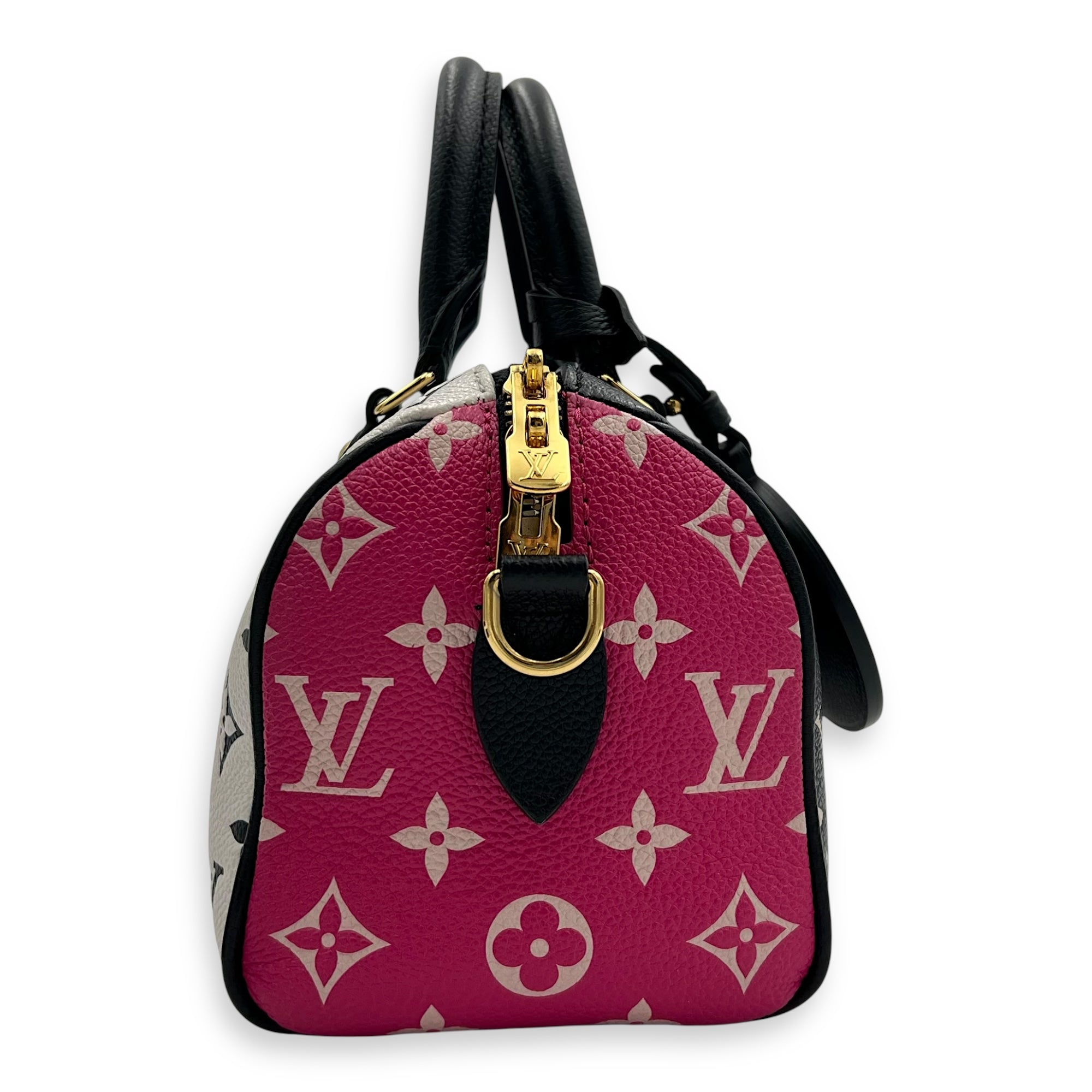 Louis Vuitton Speedy Top Handle Bag Multi-colour in Calfskin, Gold hardware_3