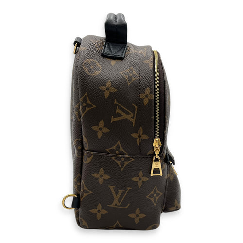 Louis Vuitton Palm Springs Backpack Brown in Monogram Coated Canvas, Gold hardware_4