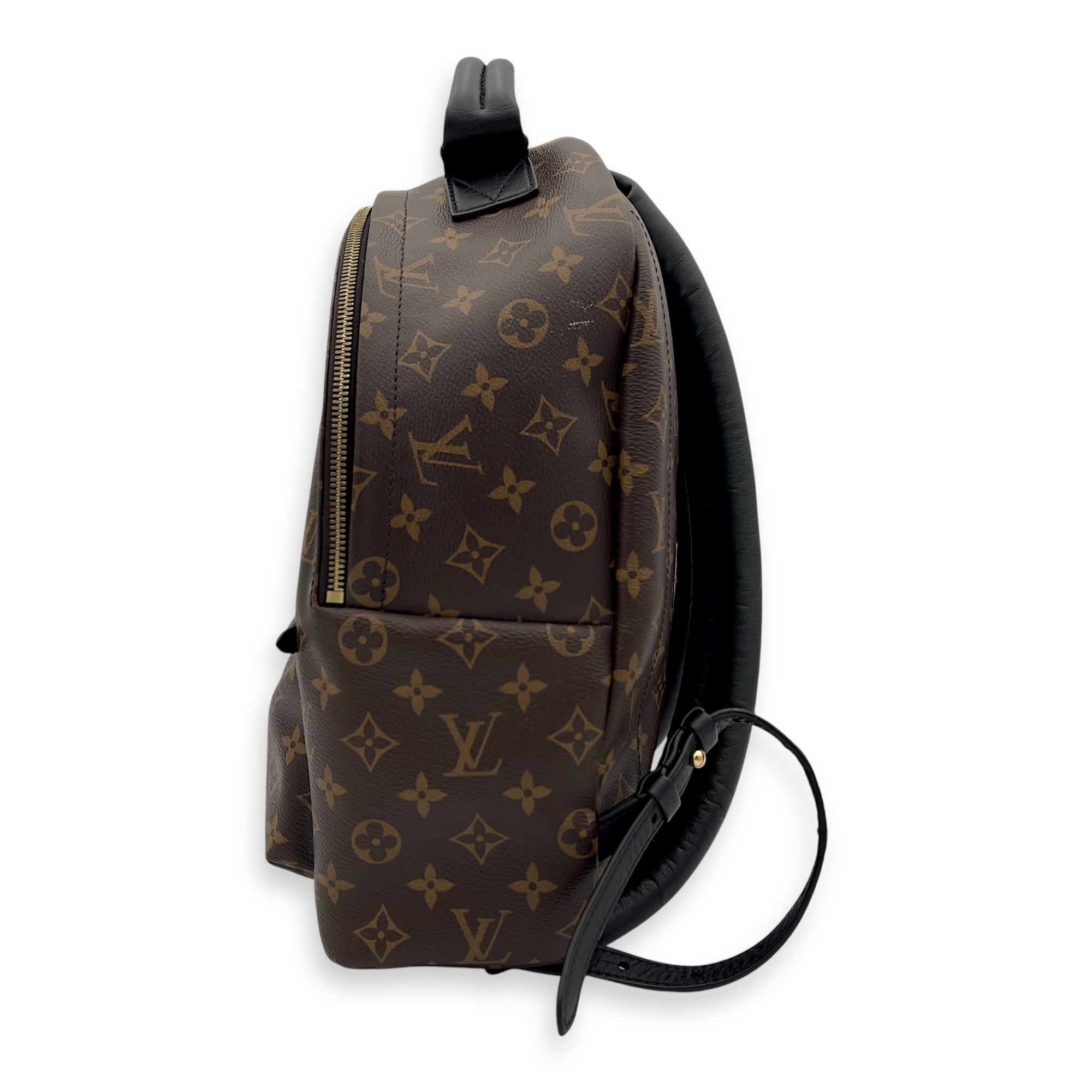 Louis Vuitton Palm Springs Backpack MM Brown in Coated Canvas, Gold hardware_6