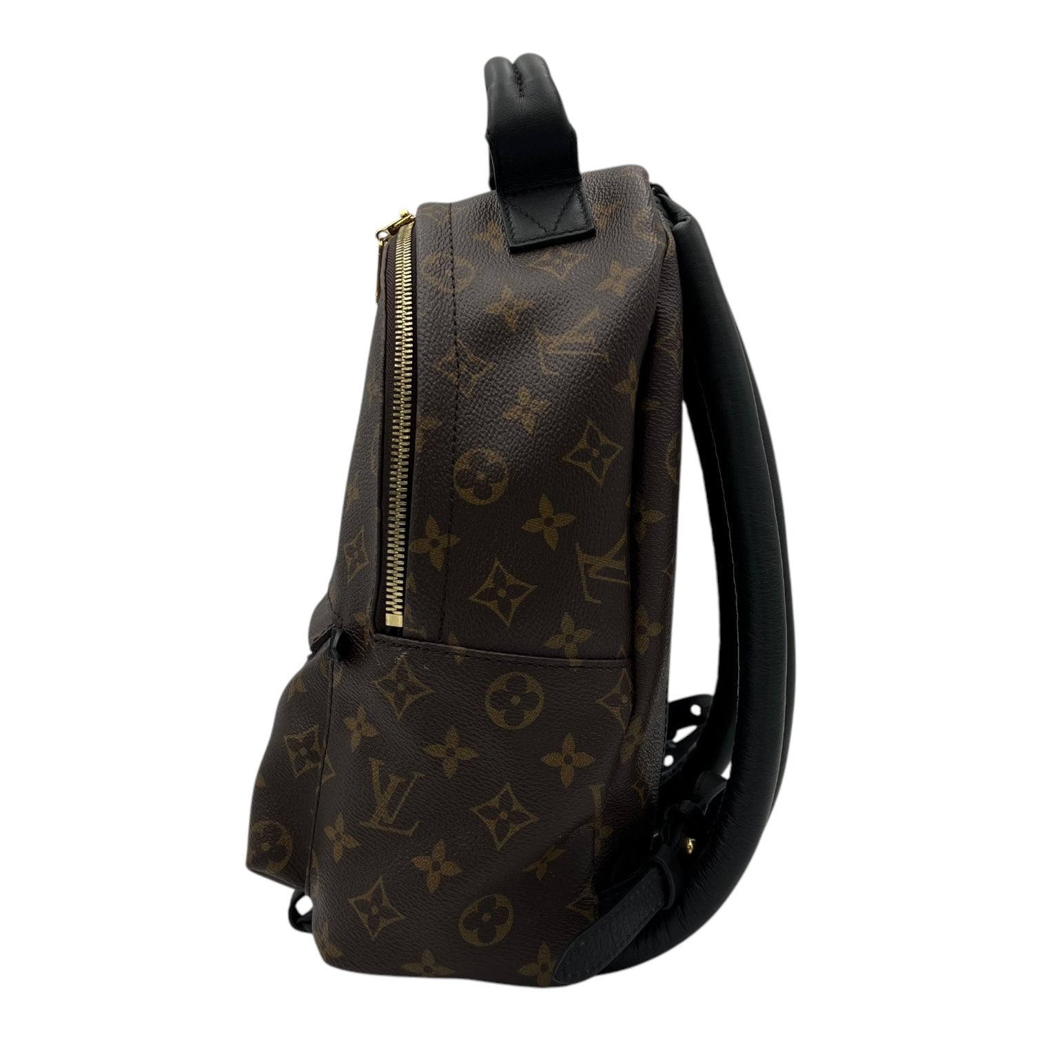 Louis Vuitton Palm Springs Backpack PM Brown in Monogram Coated Canvas, Gold hardware_4