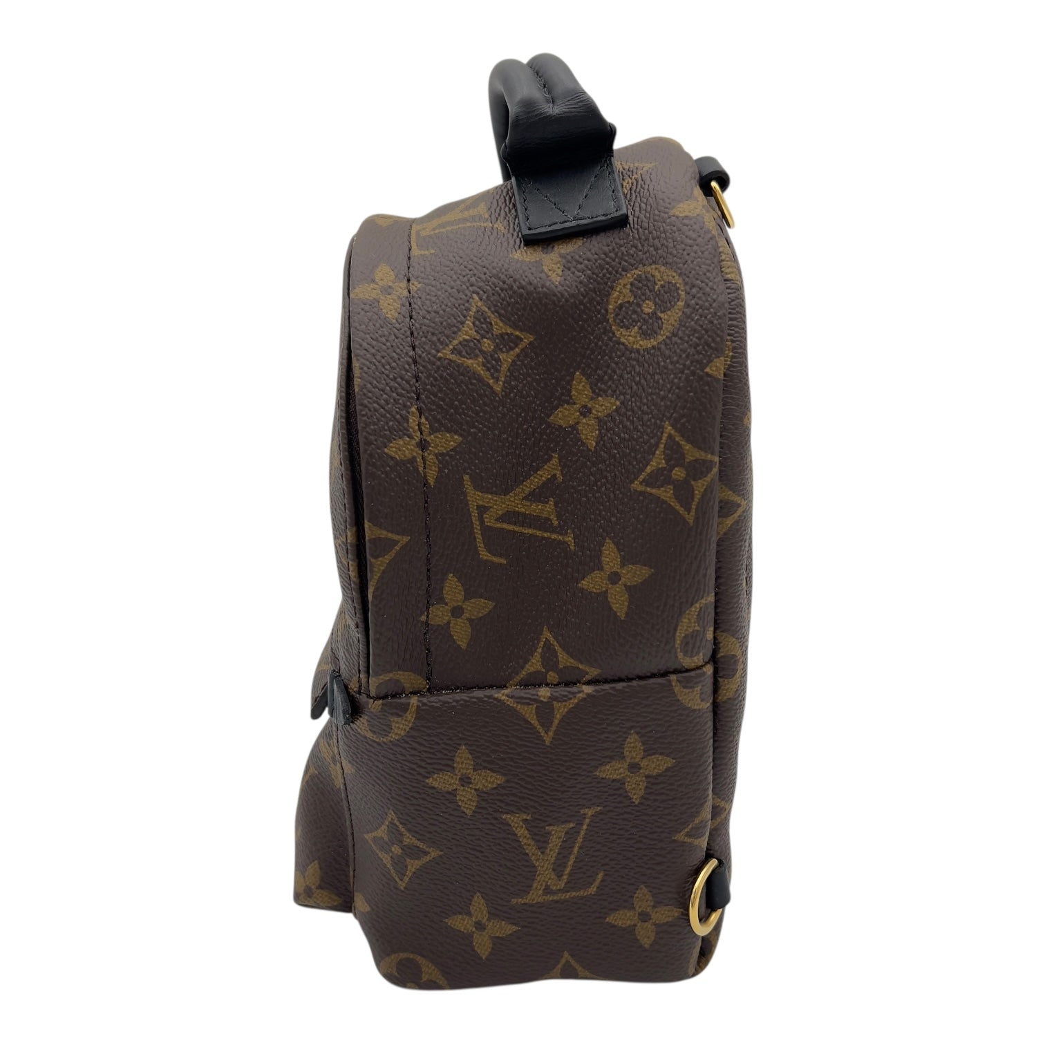 Louis Vuitton Palm Springs Mini Brown Backpack in Monogram Coated Canvas, Gold hardware_4