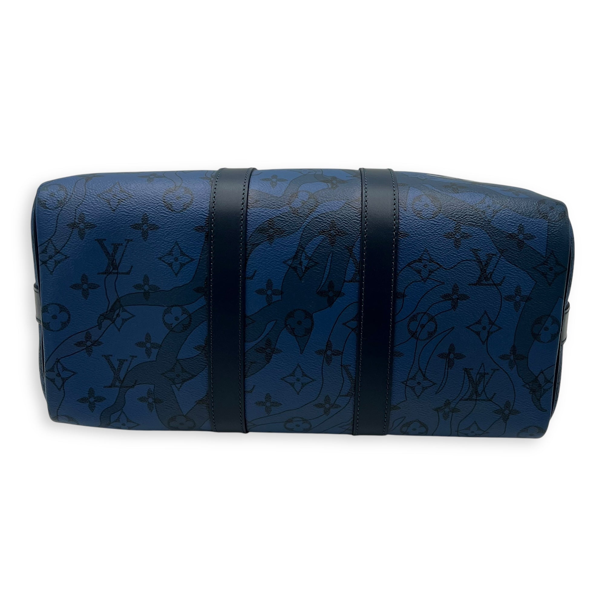 Louis Vuitton Limited Edition Acquagarden Keepall 35 Blue Top Handle Bag in Coated Canvas, Silver hardware_5