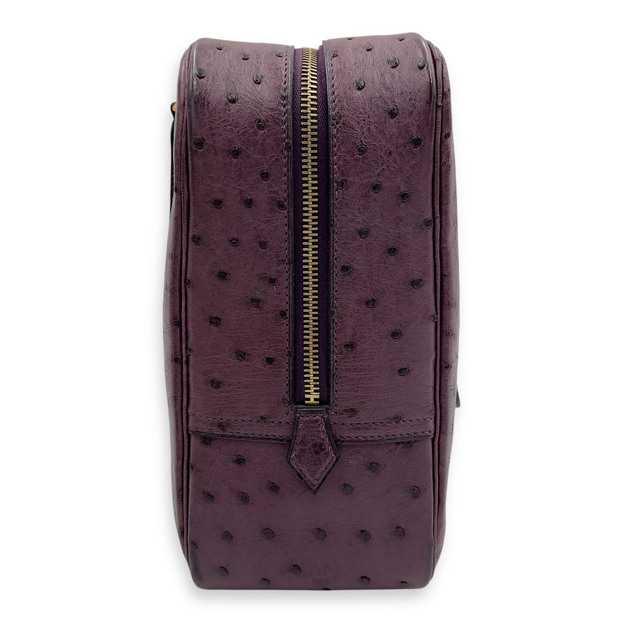 Hermès Plume Purple in Ostrich, Gold hardware_5