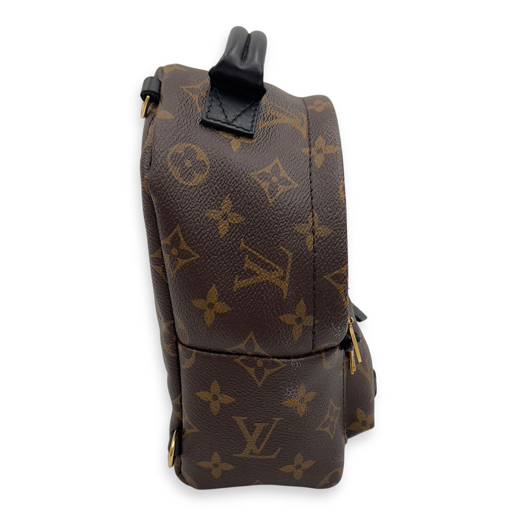 Louis Vuitton Palm Springs Mini Brown Backpack in Monogram Coated Canvas, Gold hardware_4