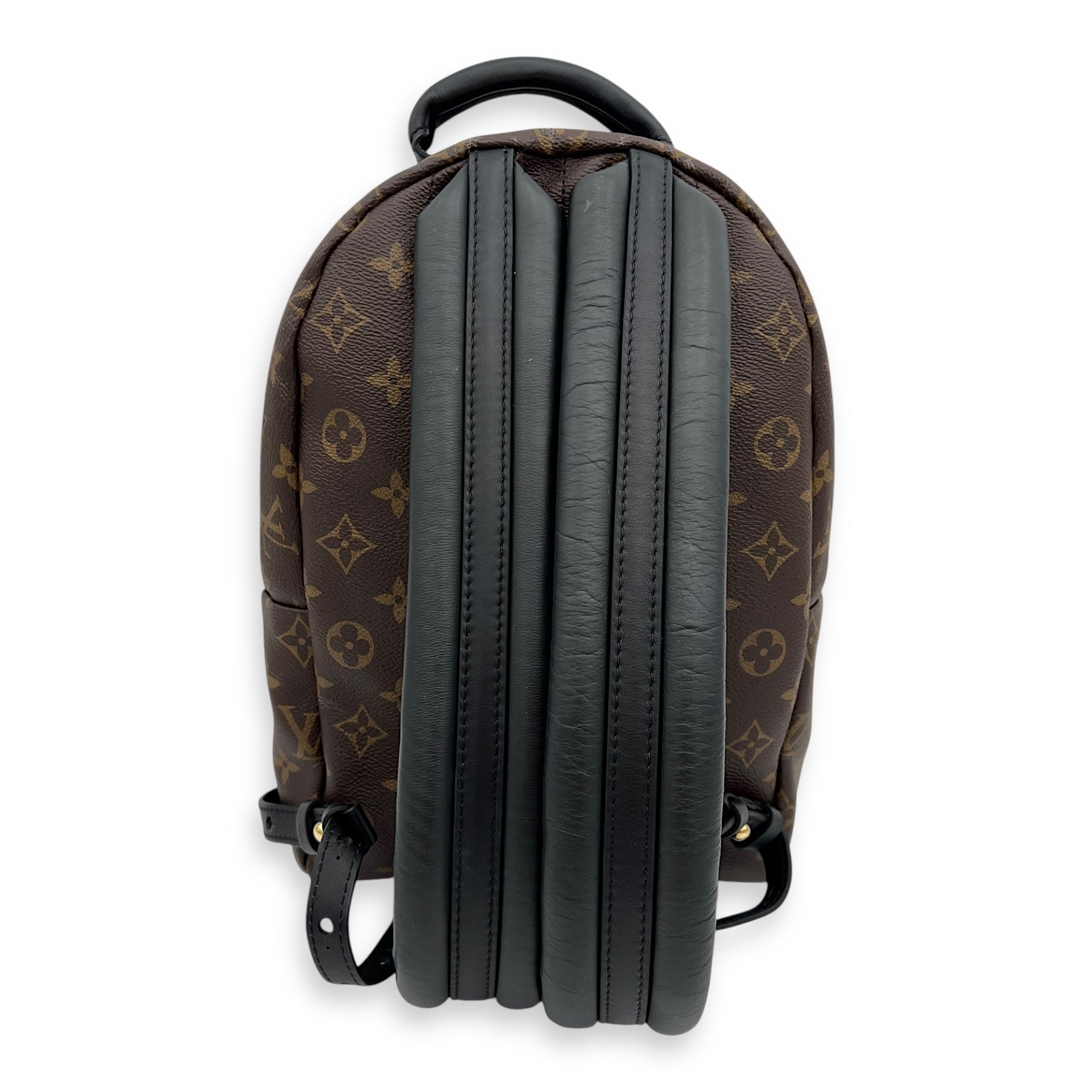 Louis Vuitton Palm Springs PM Brown Backpack in Monogram Coated Canvas, Gold hardware_8