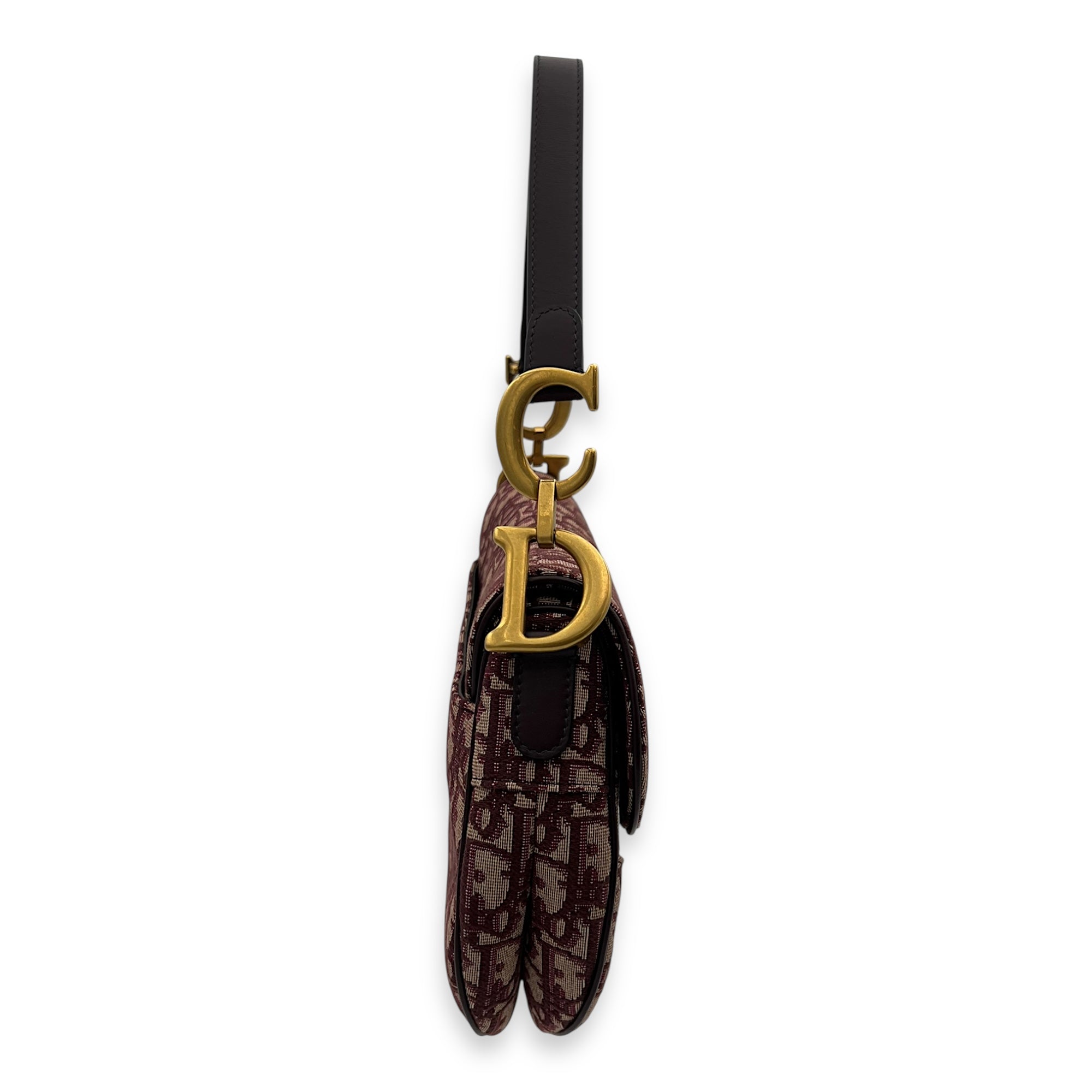 Dior Saddle Top Handle Bag Medium Gold in Canvas, Gold hardware_5