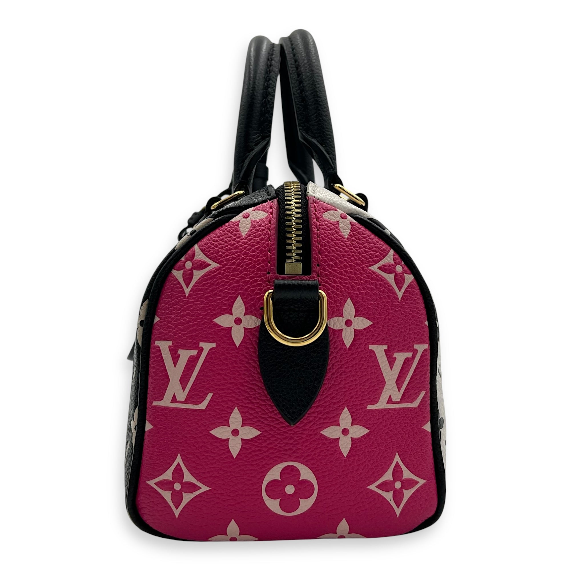 Louis Vuitton Speedy Top Handle Bag Multi-colour in Calfskin, Gold hardware_4