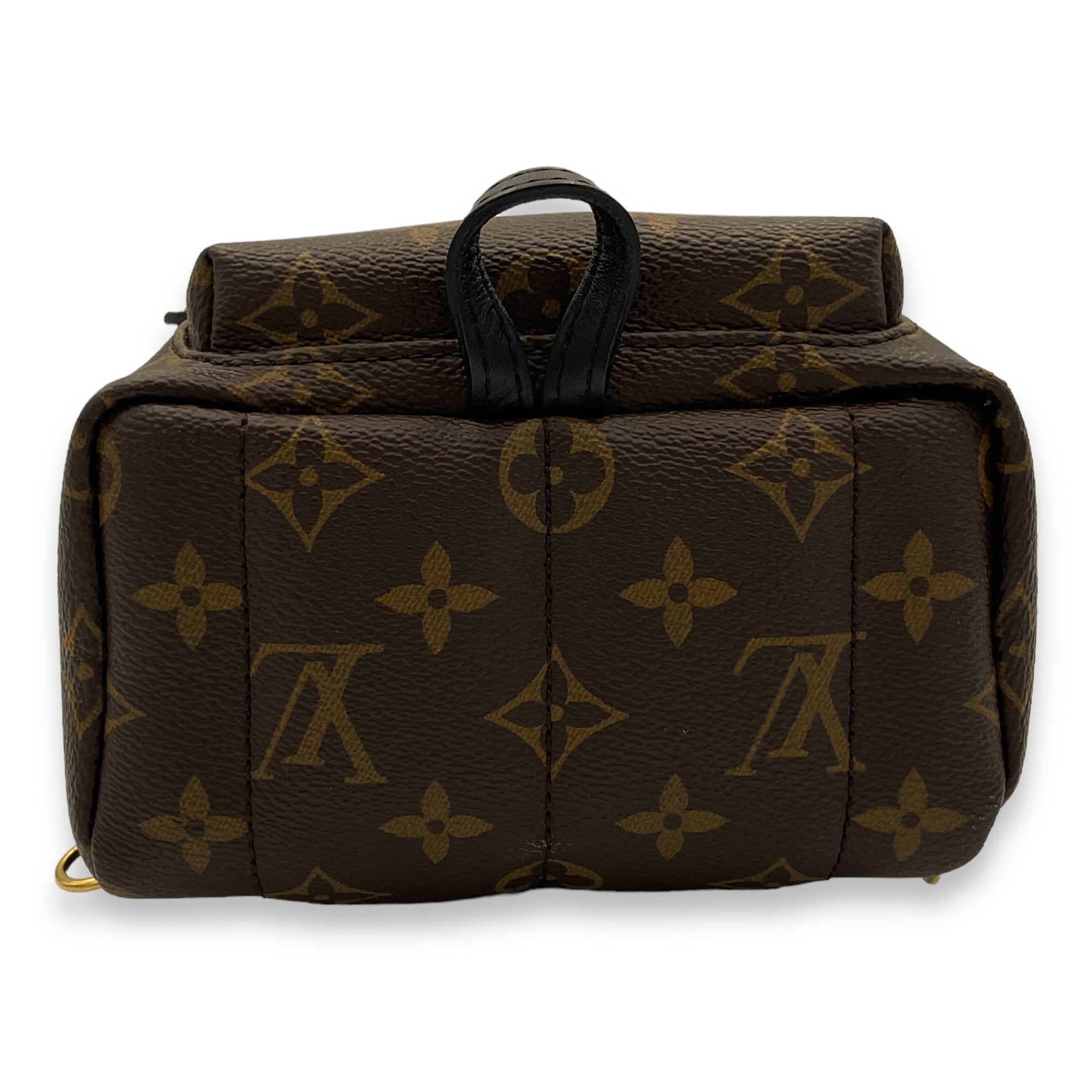 Palm Springs Mini Brown Backpack in Monogram Coated Canvas, Gold hardware