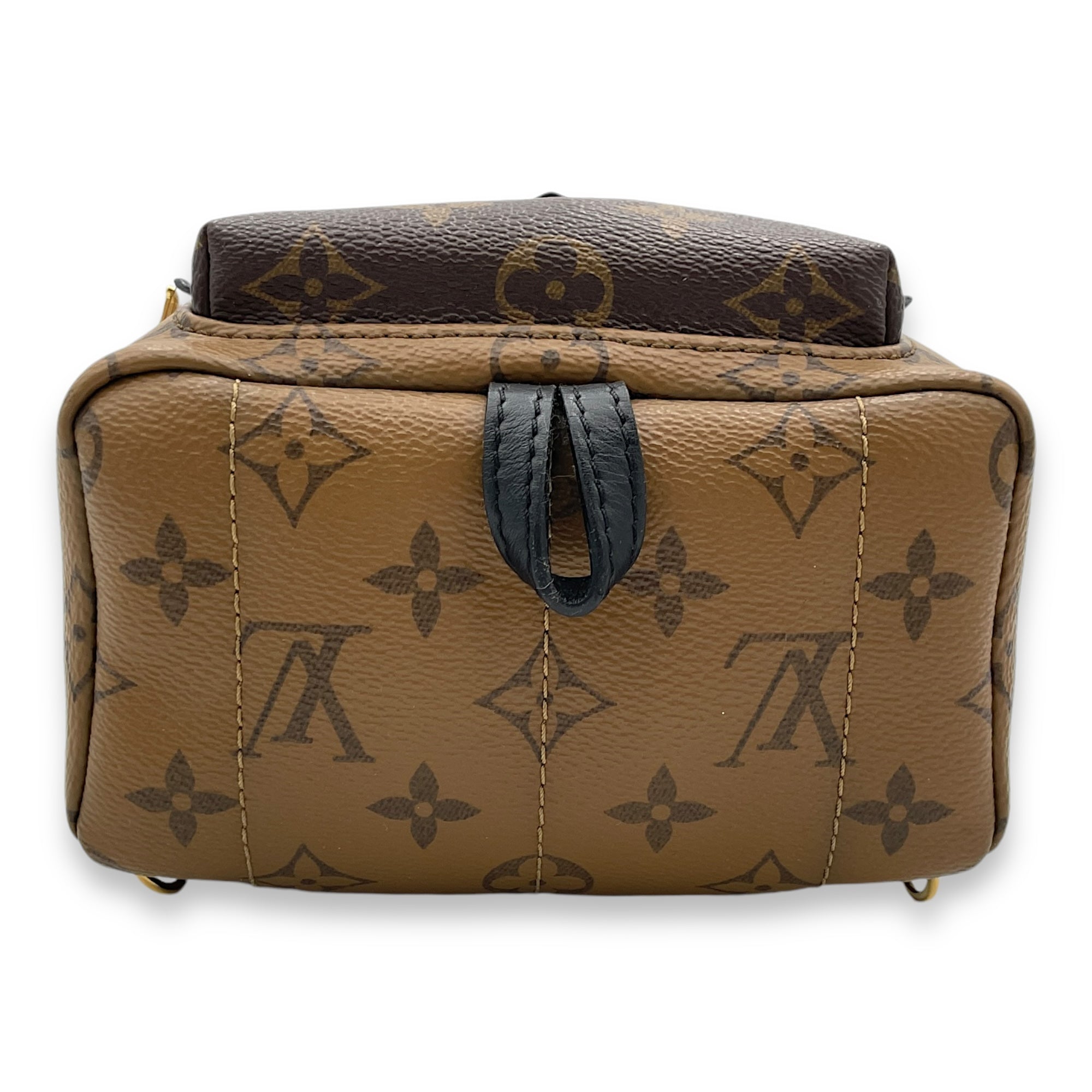 Palm Springs Mini Brown Backpack in Monogram Coated Canvas, Gold hardware