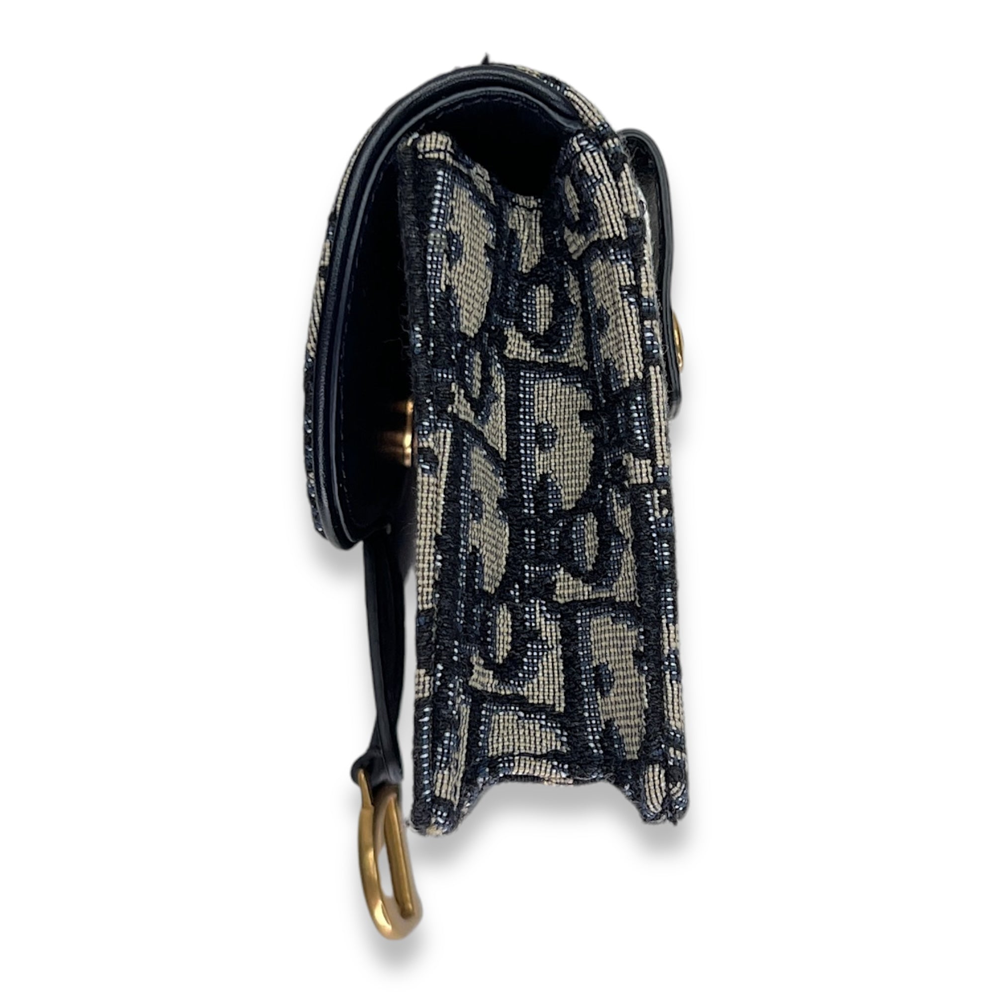 Oblique Saddle Belt bag in Jacquard, Gold Hardware