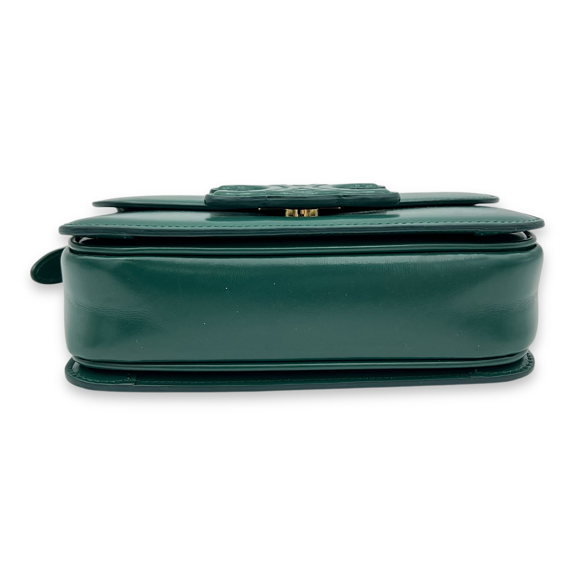 Celine Triomphe Shoulder Bag Green in Calfskin, Gold hardware_5