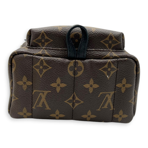 Louis Vuitton Palm Springs Backpack Brown in Monogram Coated Canvas, Gold hardware_5