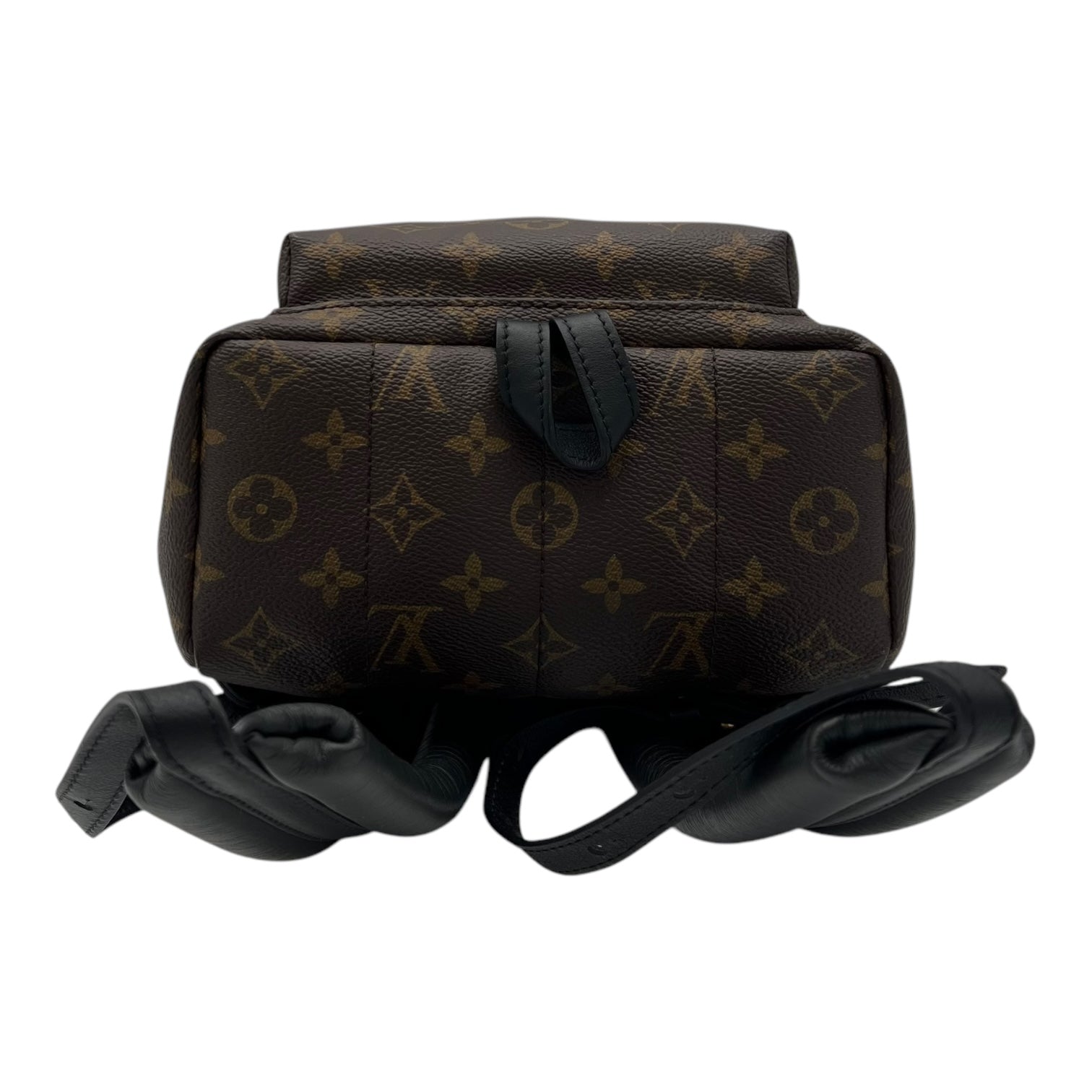 Louis Vuitton Palm Springs Backpack PM Brown in Monogram Coated Canvas, Gold hardware_5