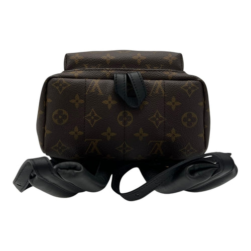 Louis Vuitton Palm Springs Backpack PM Brown in Monogram Coated Canvas, Gold hardware_5