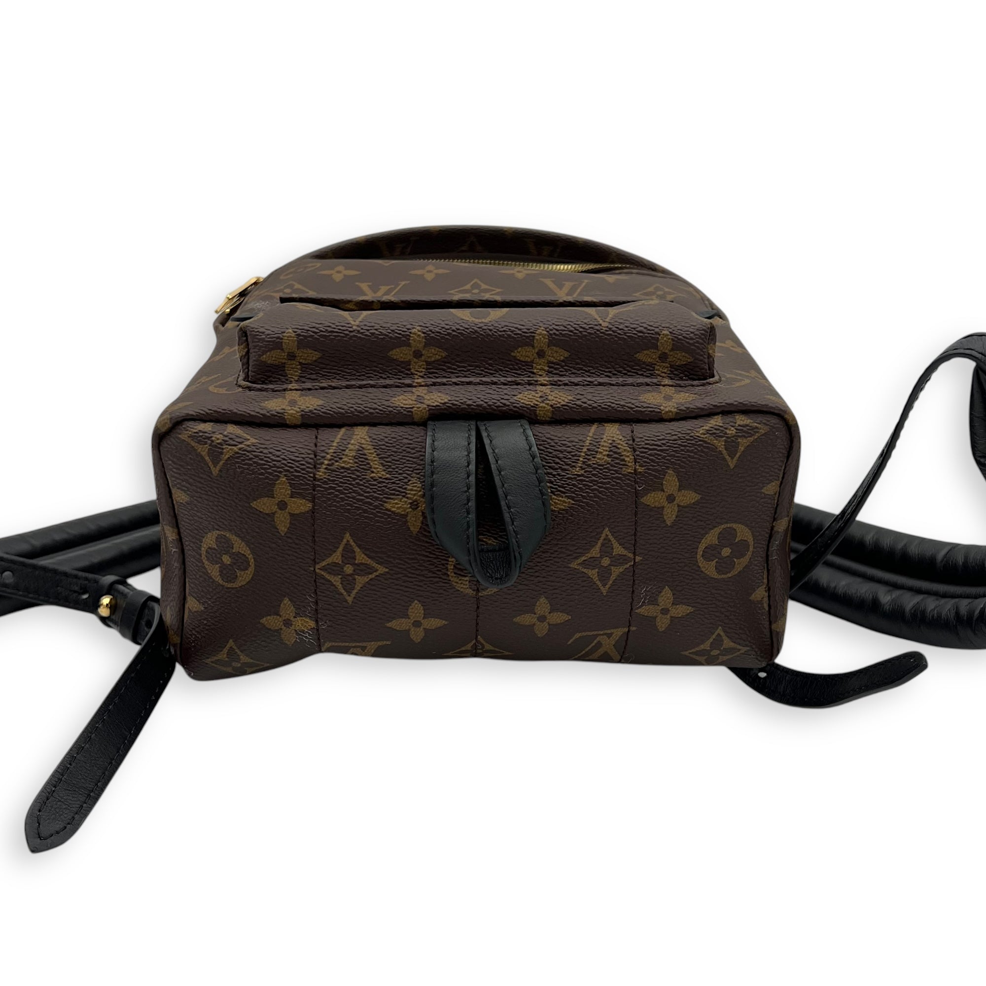 Louis Vuitton Palm Springs Backpack Brown in Monogram Coated Canvas, Gold hardware_5