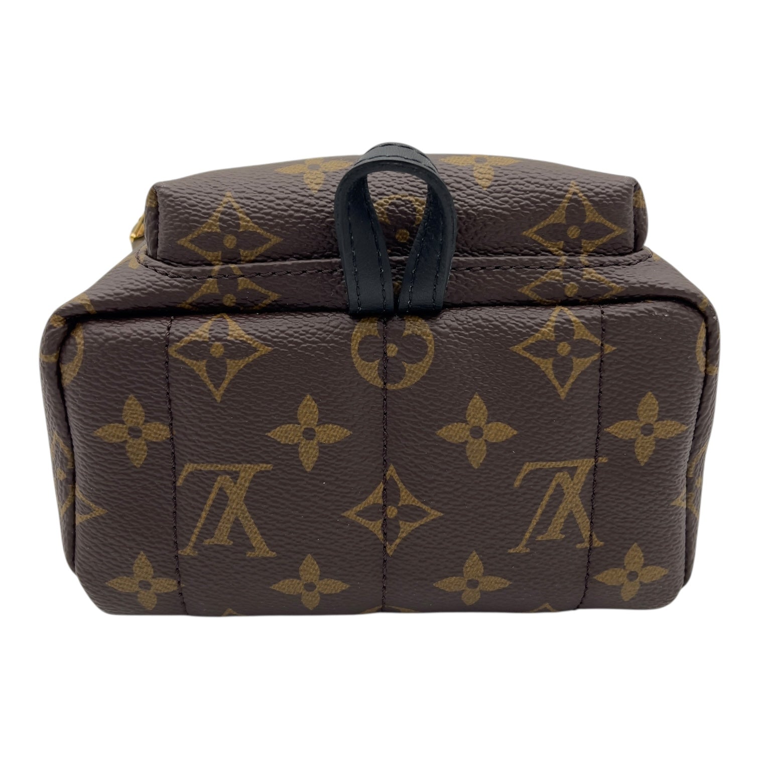 Louis Vuitton Palm Springs Mini Brown Backpack in Monogram Coated Canvas, Gold hardware_3
