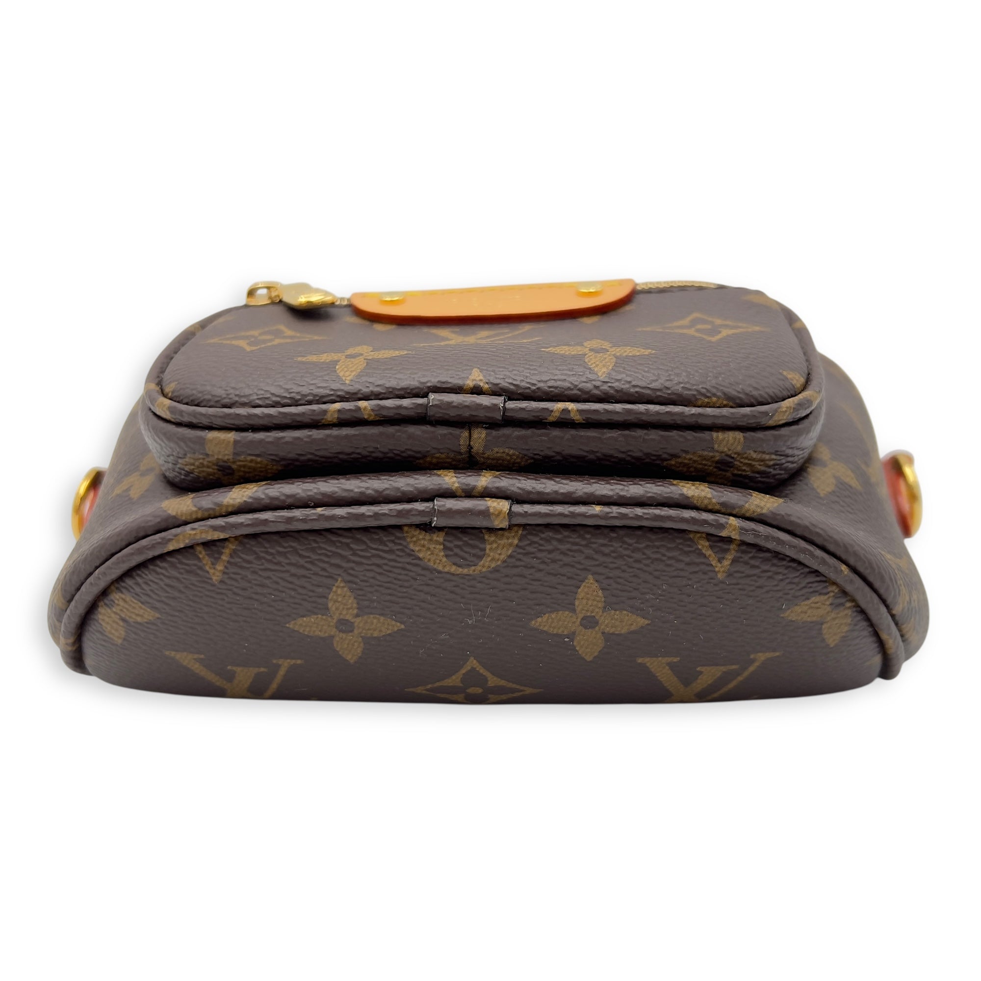 Louis Vuitton BumBag Mini Brown Belt Bag in Coated Canvas, Gold hardware_5
