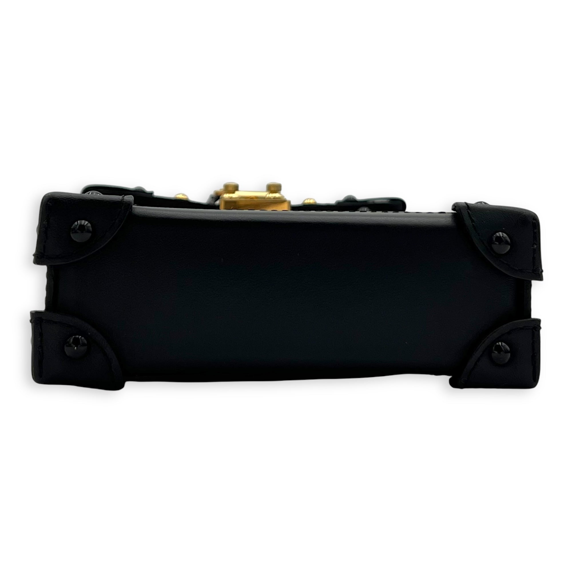 Louis Vuitton Trunk Crossbody Bag Ballerina in Epi Leather, Gold hardware_5