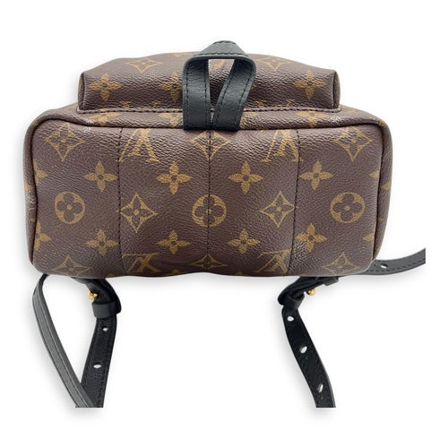 Louis Vuitton Palm Springs PM Brown Backpack in Monogram Coated Canvas, Gold hardware_9
