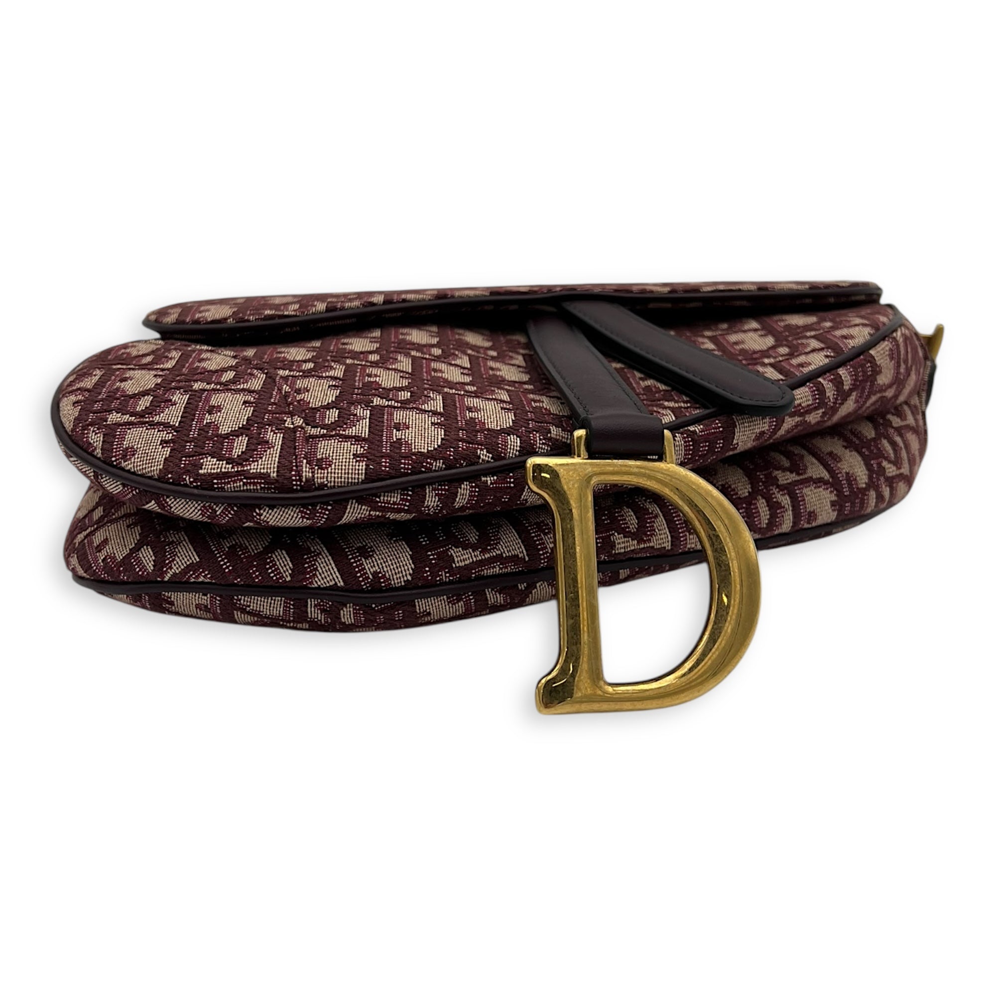 Dior Saddle Top Handle Bag Medium Gold in Canvas, Gold hardware_2