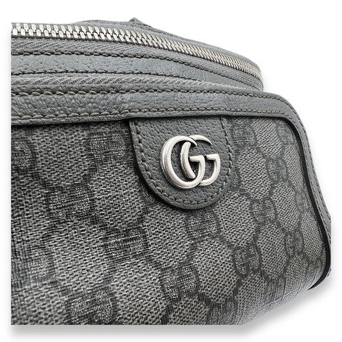 Ophidia Small Grey Belt Bag in Monogram Coated Canvas, Silver hardware