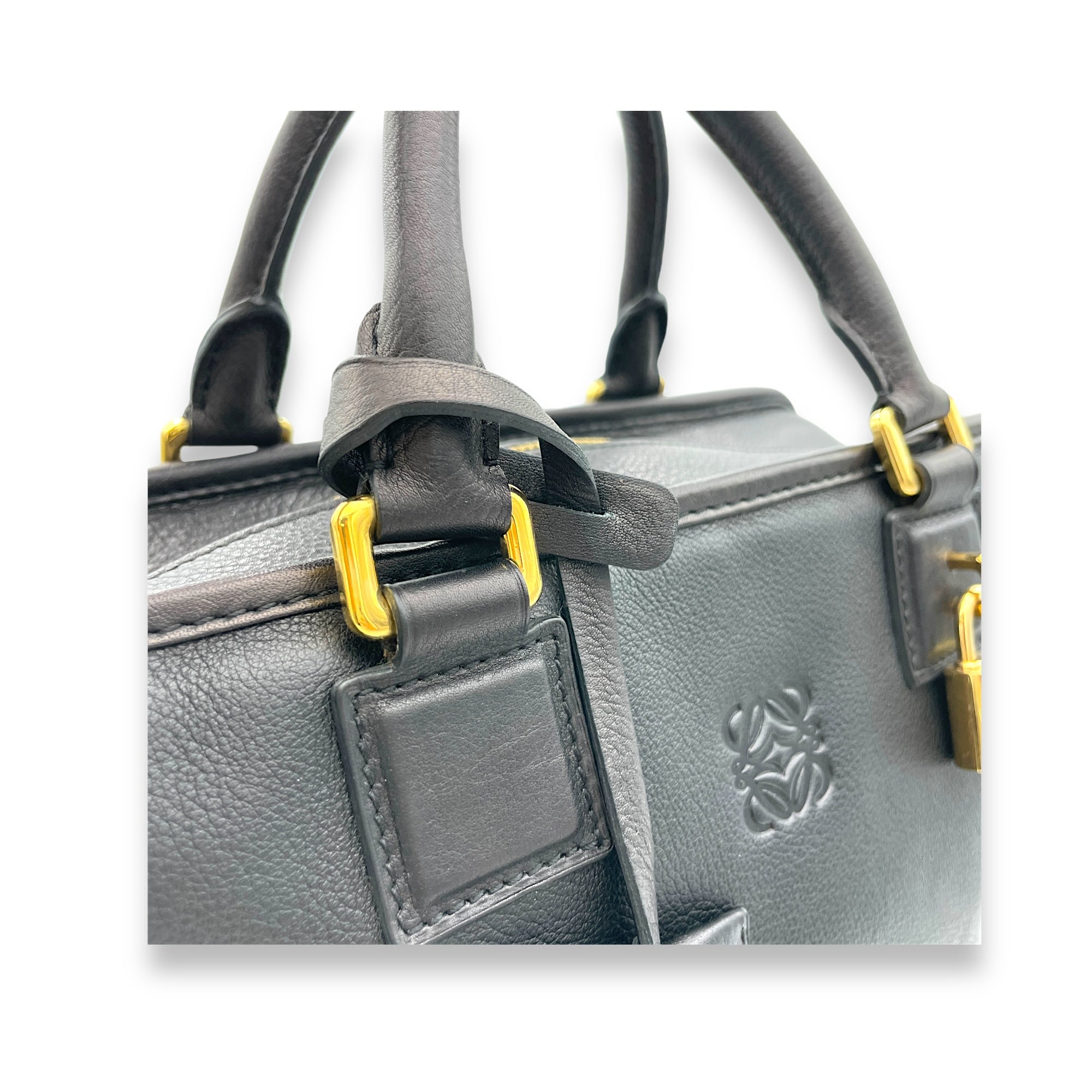 Amazona Top Handle Bag 28 Black in Calfskin, Gold hardware