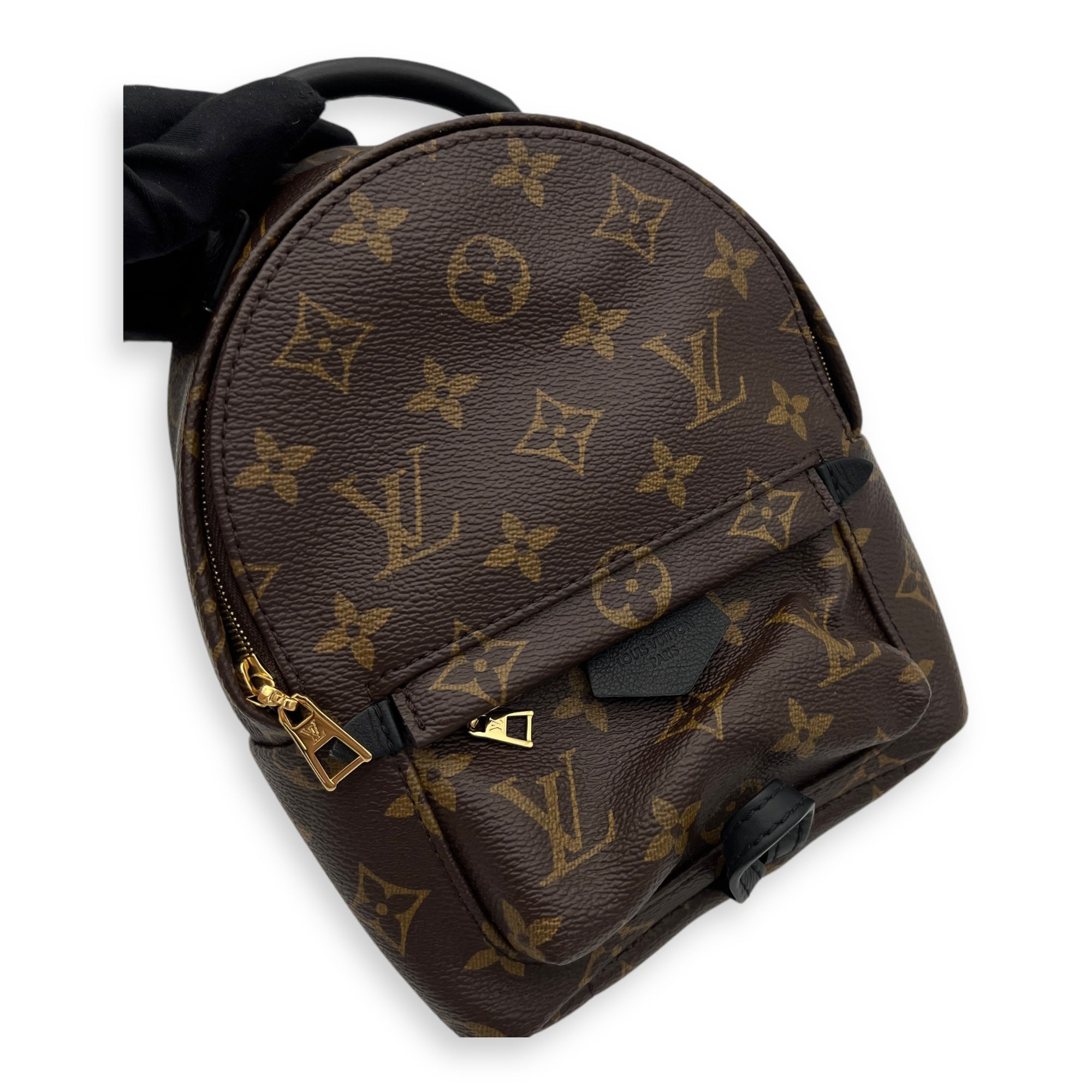 Louis Vuitton Palm Springs Backpack Mini Brown in Monogram Coated Canvas Gold hardware Singapore