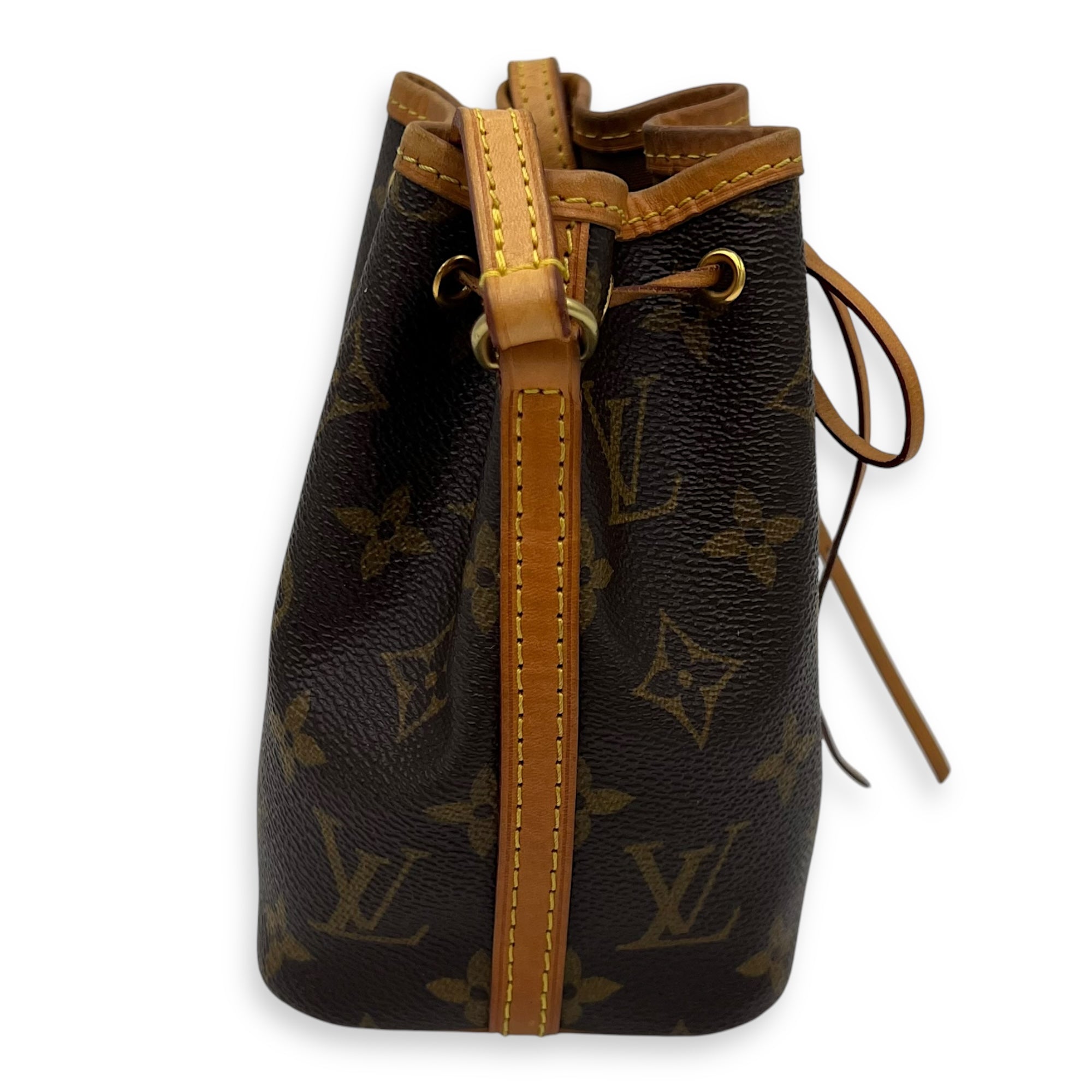 Louis Vuitton Noe Nano Brown Bucket Bag in Monogram Coated Canvas, Gold  hardware Singapore