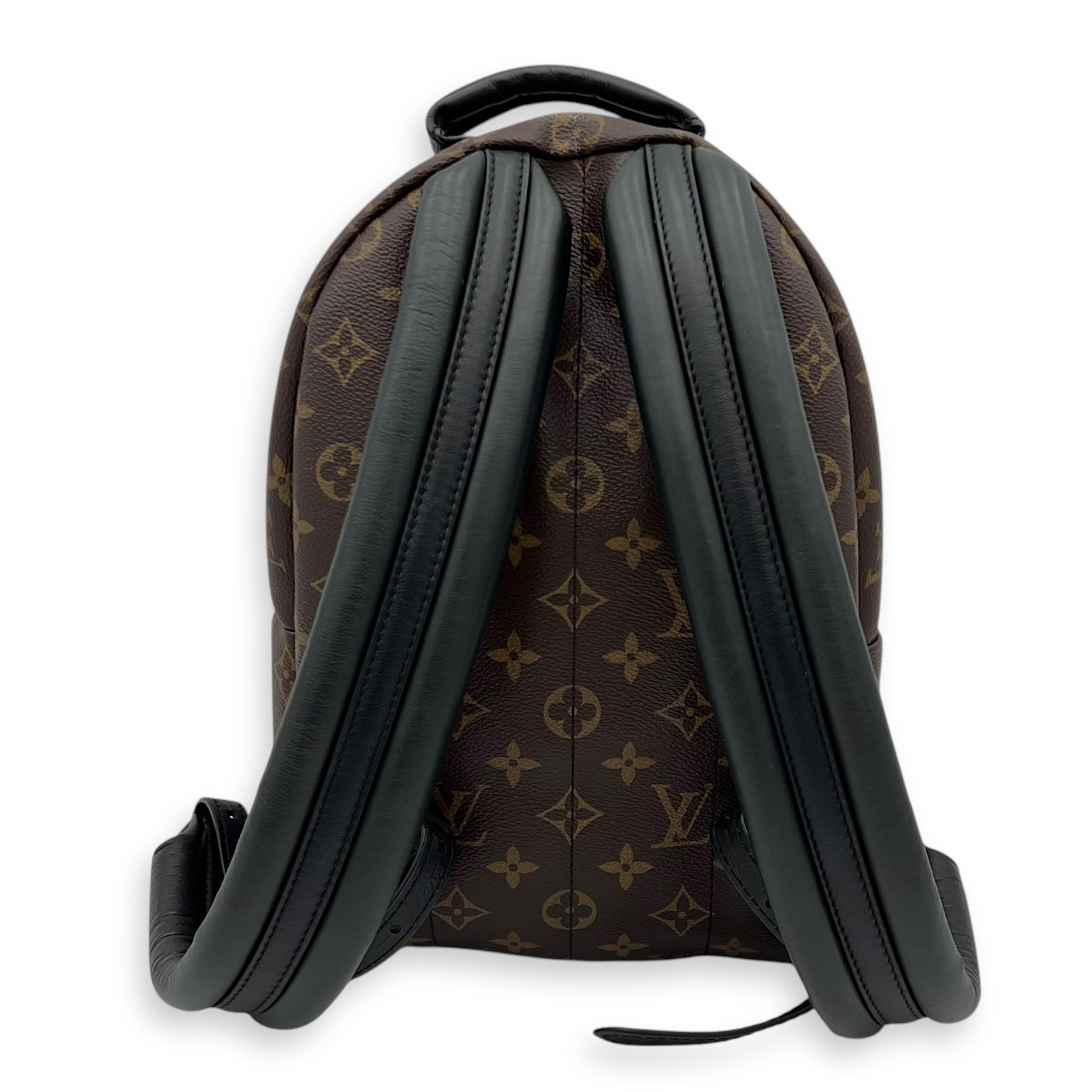 Louis Vuitton Palm Springs Backpack Brown in Monogram Coated Canvas, Gold hardware_2