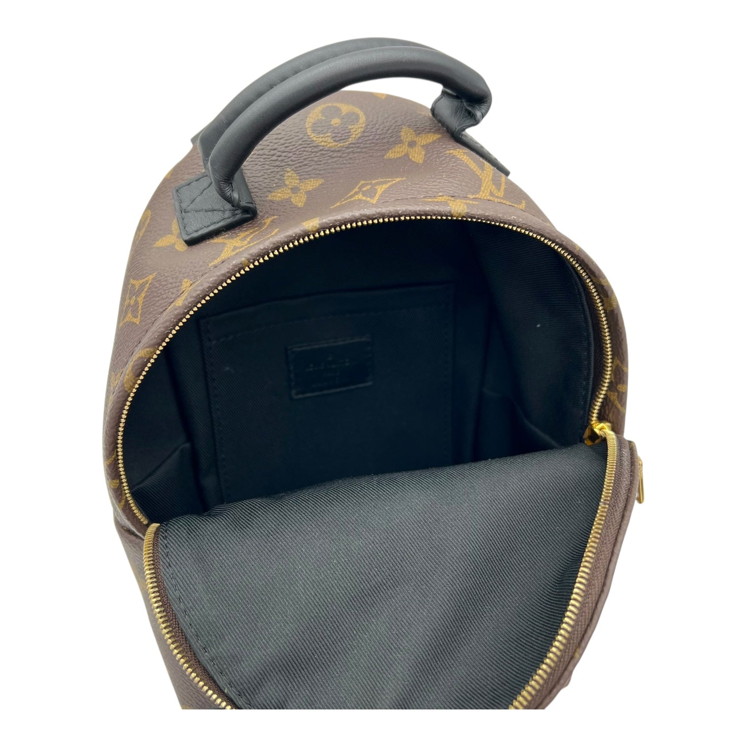 Louis Vuitton Palm Springs Mini Brown Backpack in Monogram Coated Canvas, Gold hardware_6