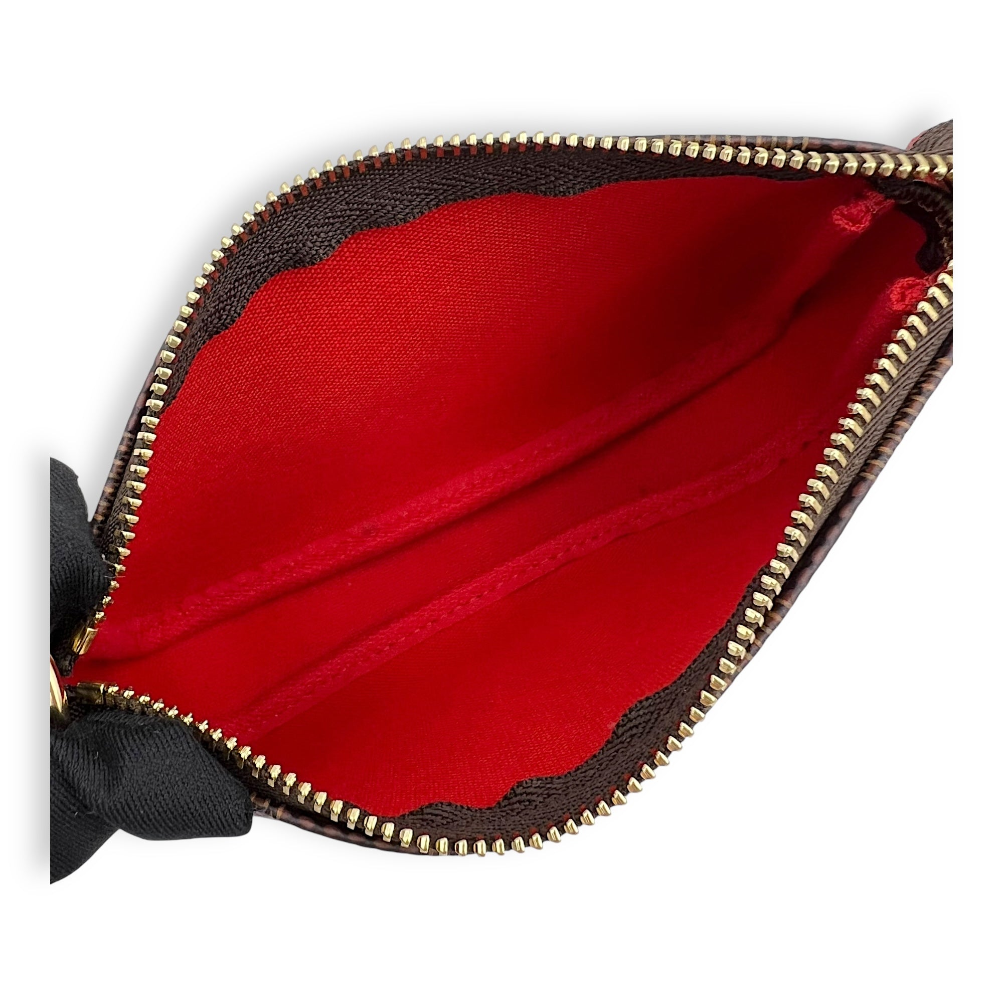 Louis Vuitton Pochette Accessoires Mini Brown Pouch in Coated Canvas, Gold hardware_6