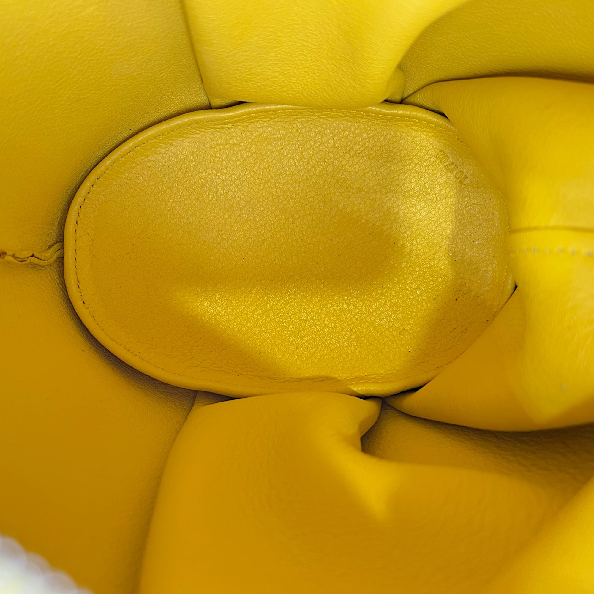 Loewe Elephant Crossbody Bag Yellow in Calfskin, Silver hardware_6