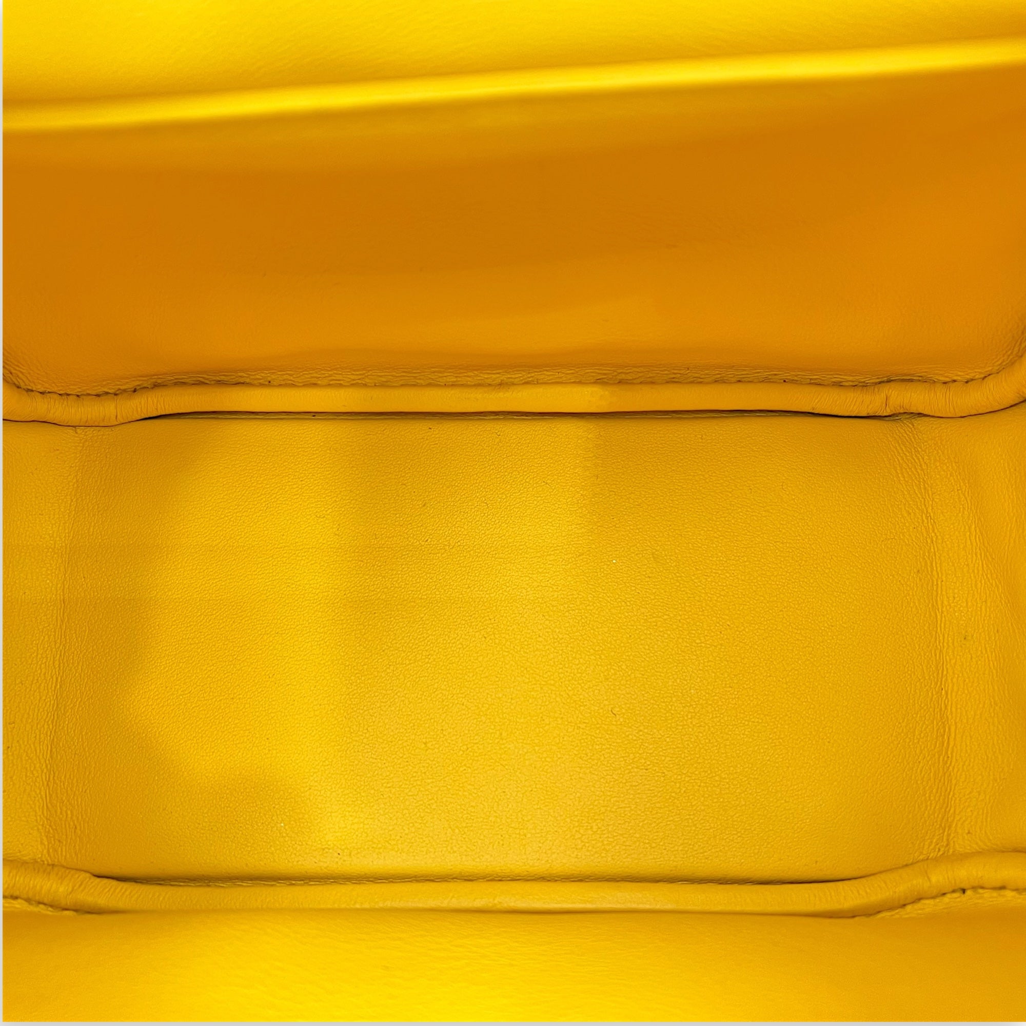 Hermès Mini Lindy Yellow in Swift, Palladium hardware_6