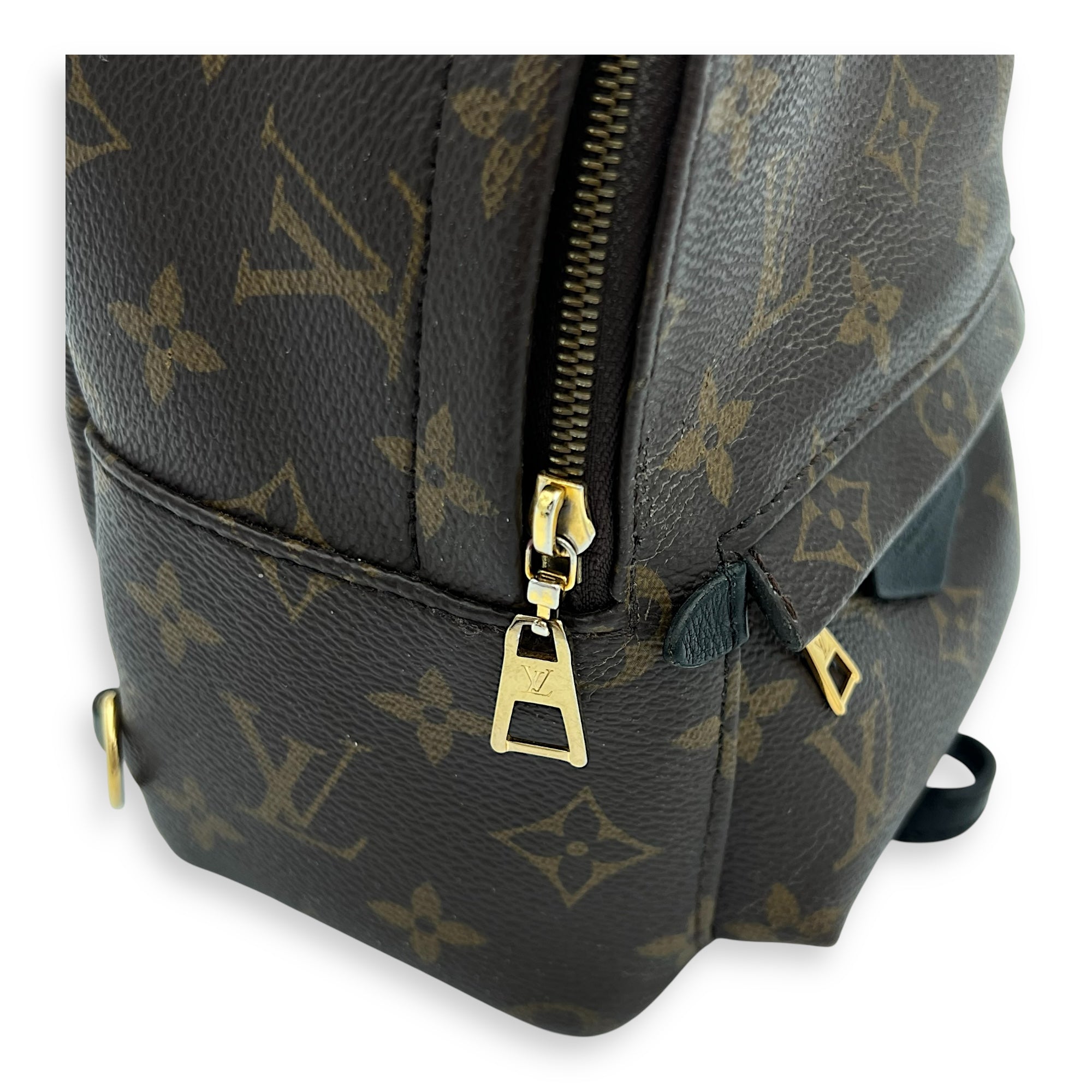 Louis Vuitton Palm Springs Backpack Mini Brown in Monogram Coated Canvas, Gold hardware_6